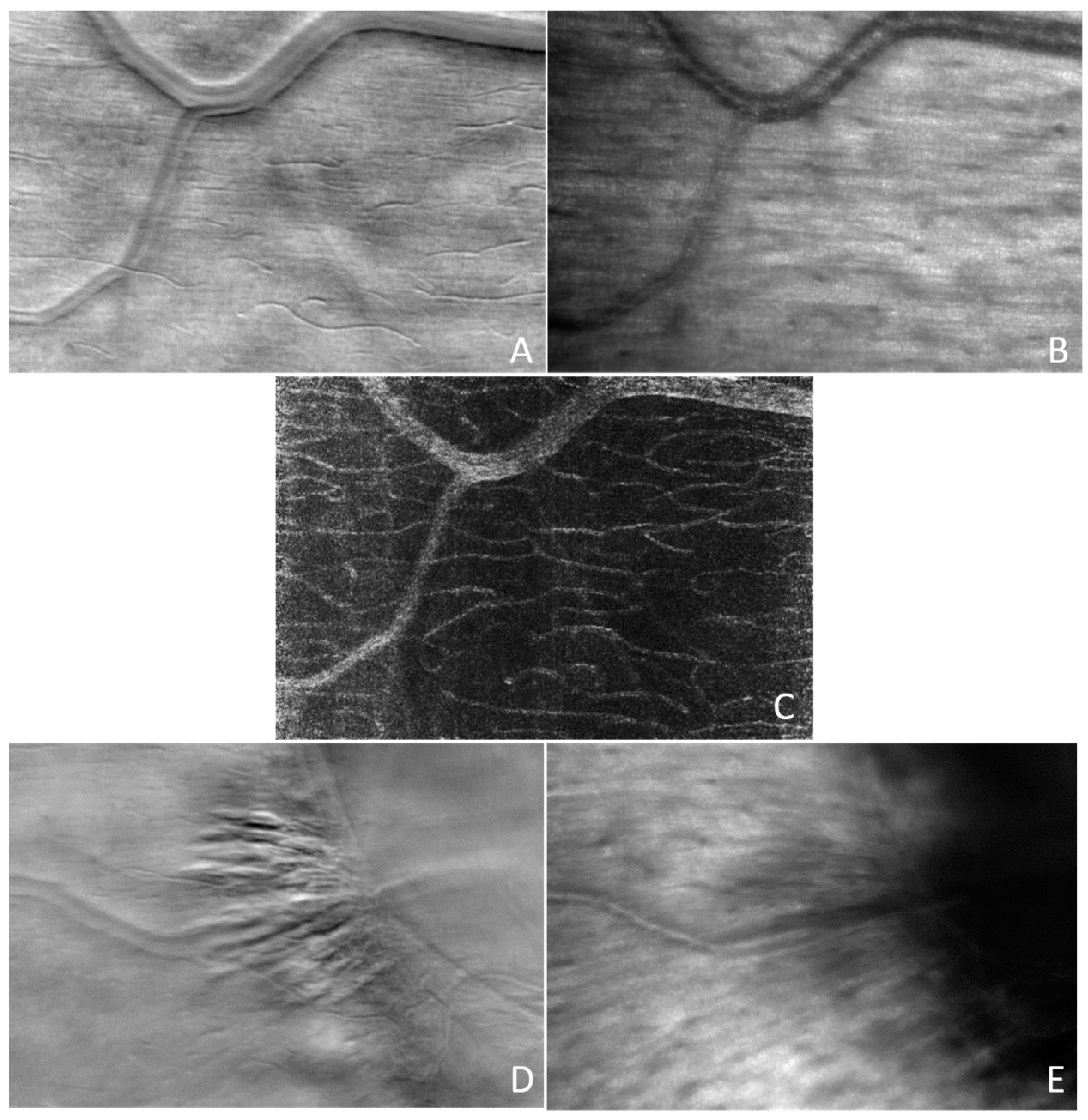 Photonics 11 00522 g016