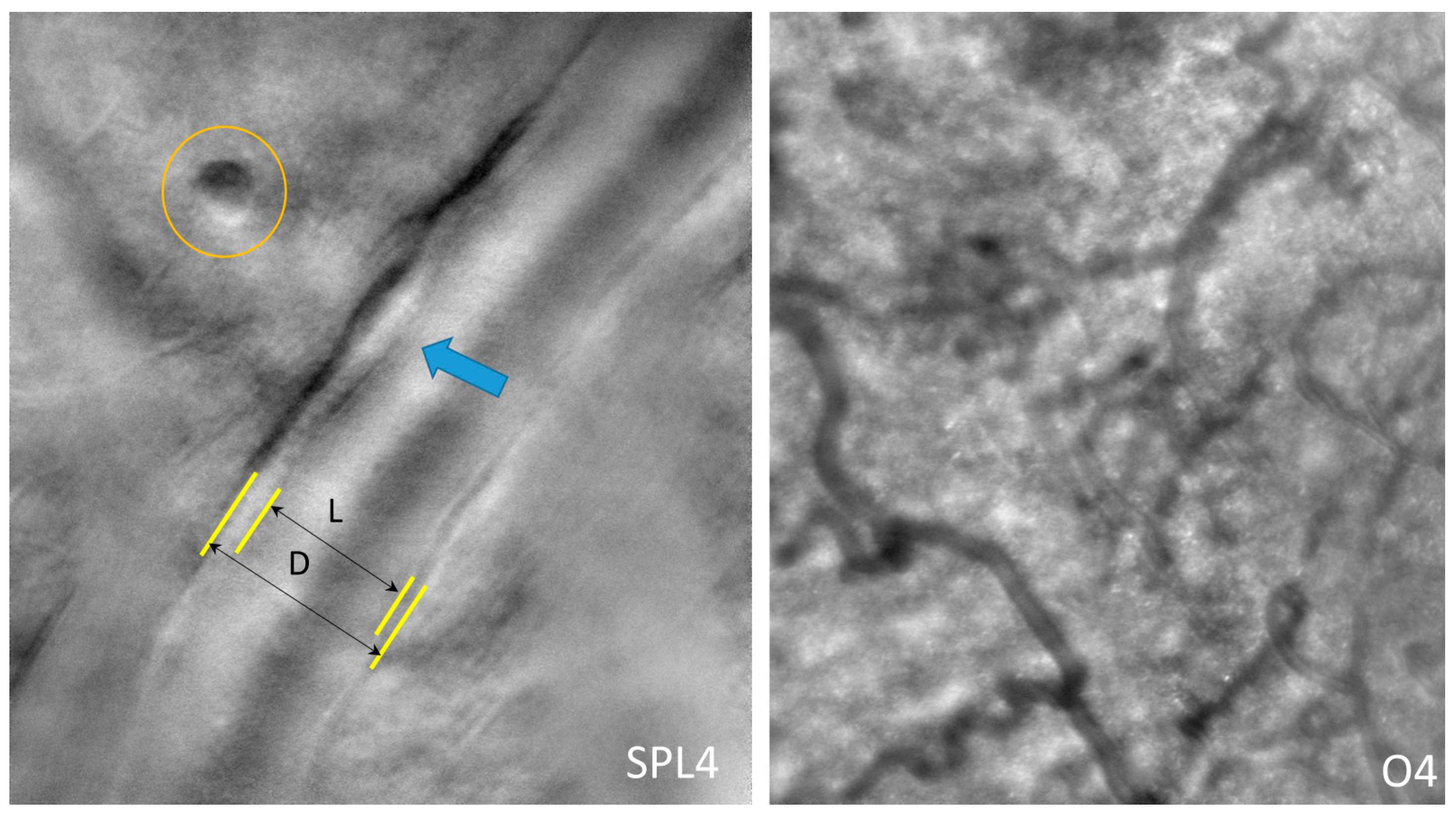 Photonics 11 00522 g019