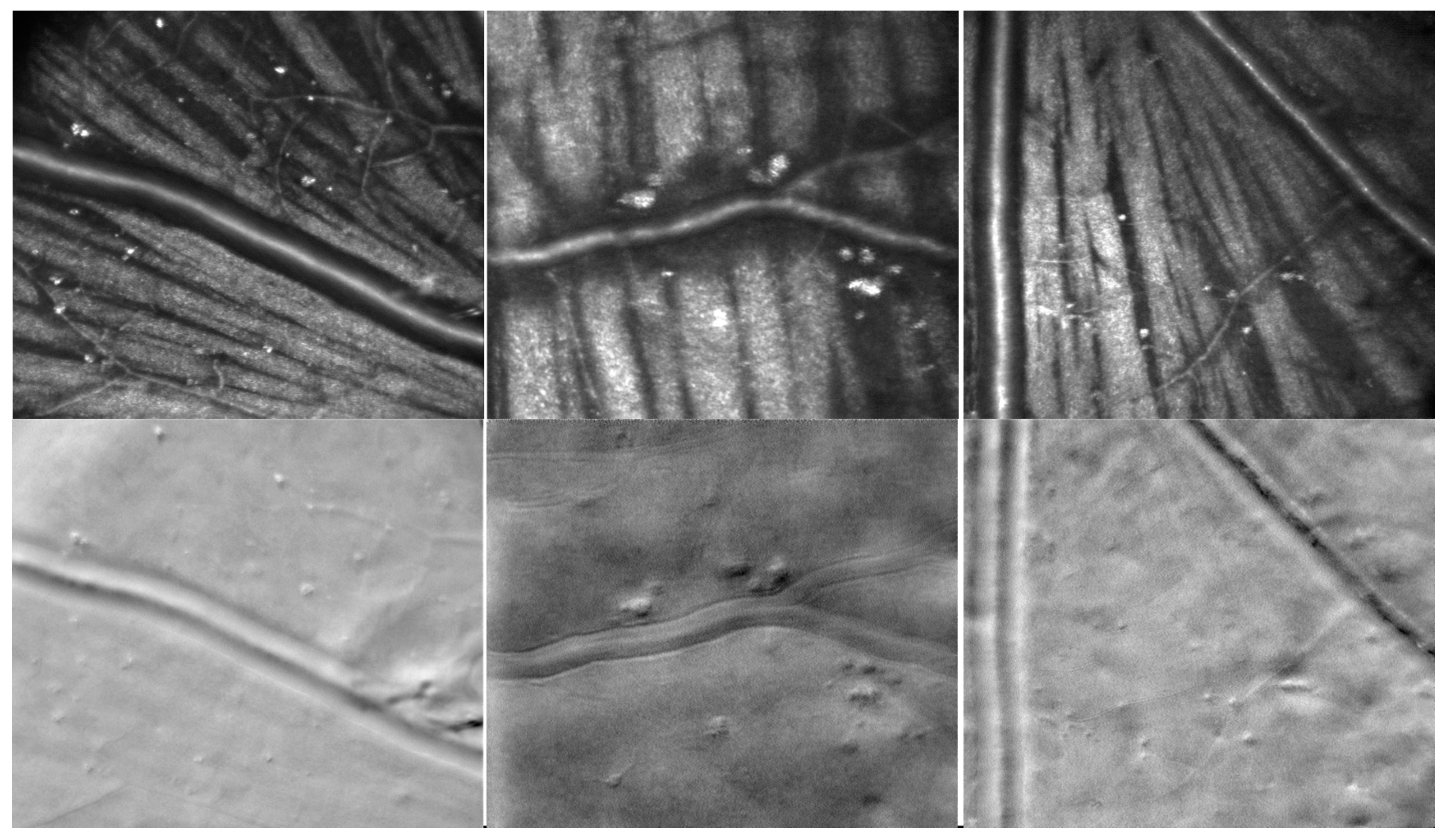 Photonics 11 00522 g023