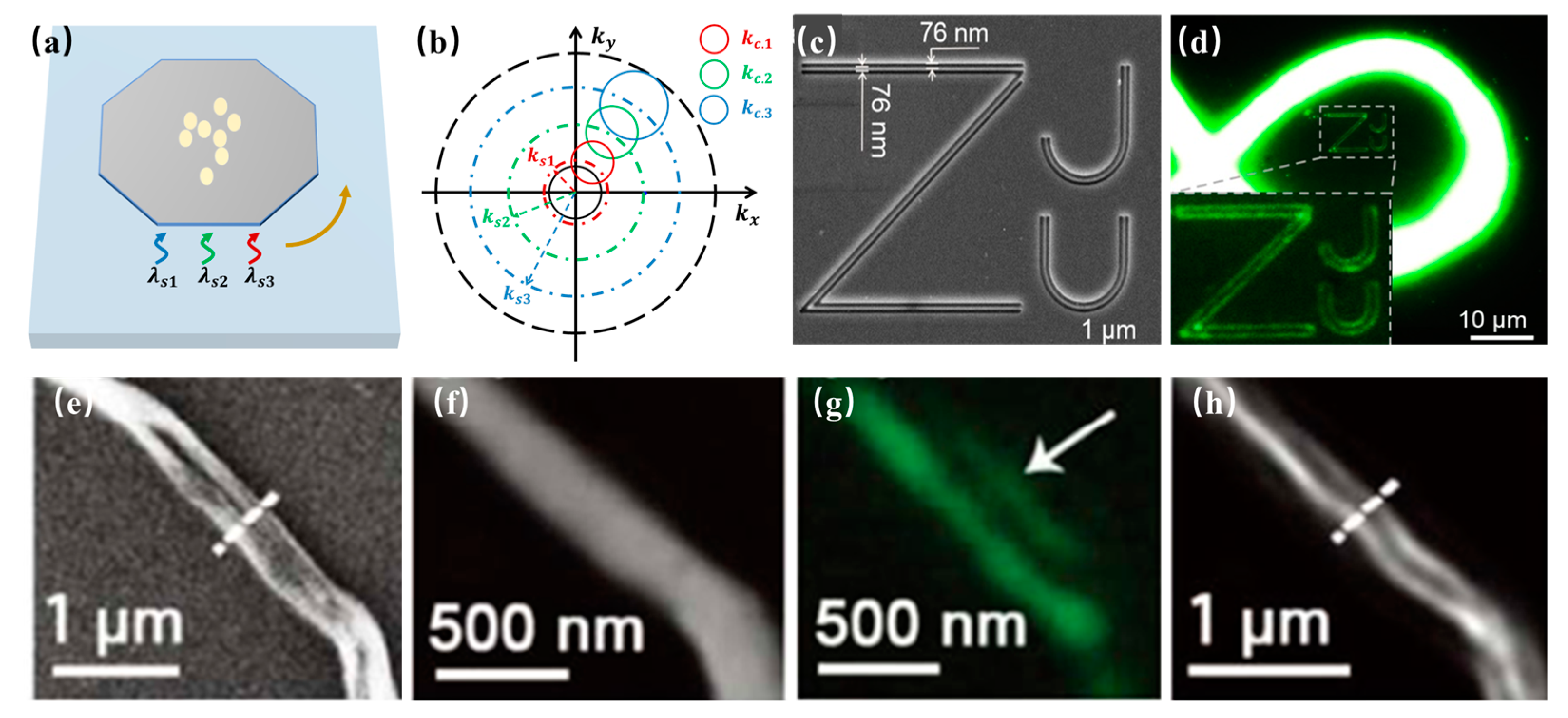 Photonics 11 00528 g003