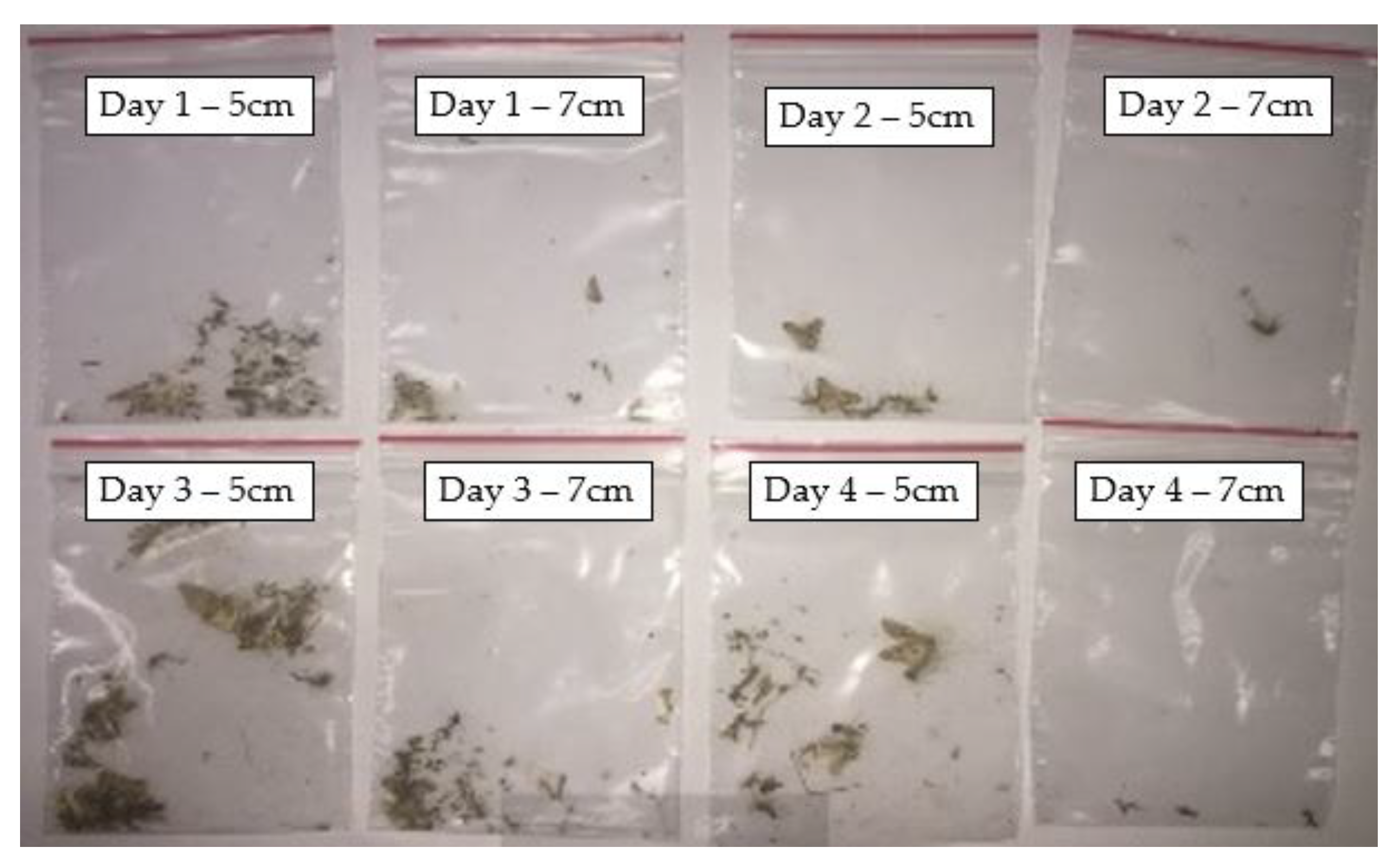 Photonics 11 00532 g014