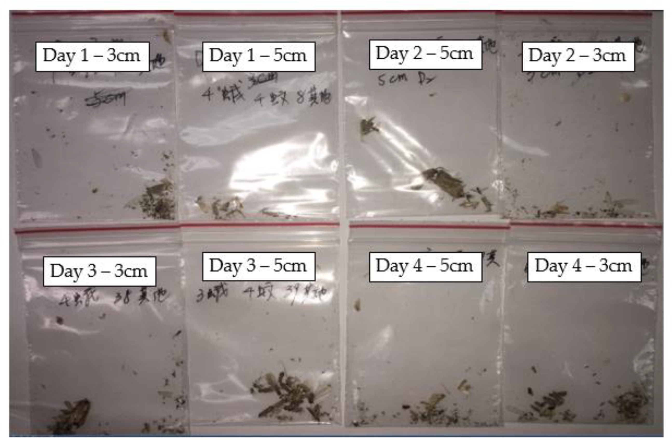 Photonics 11 00532 g015