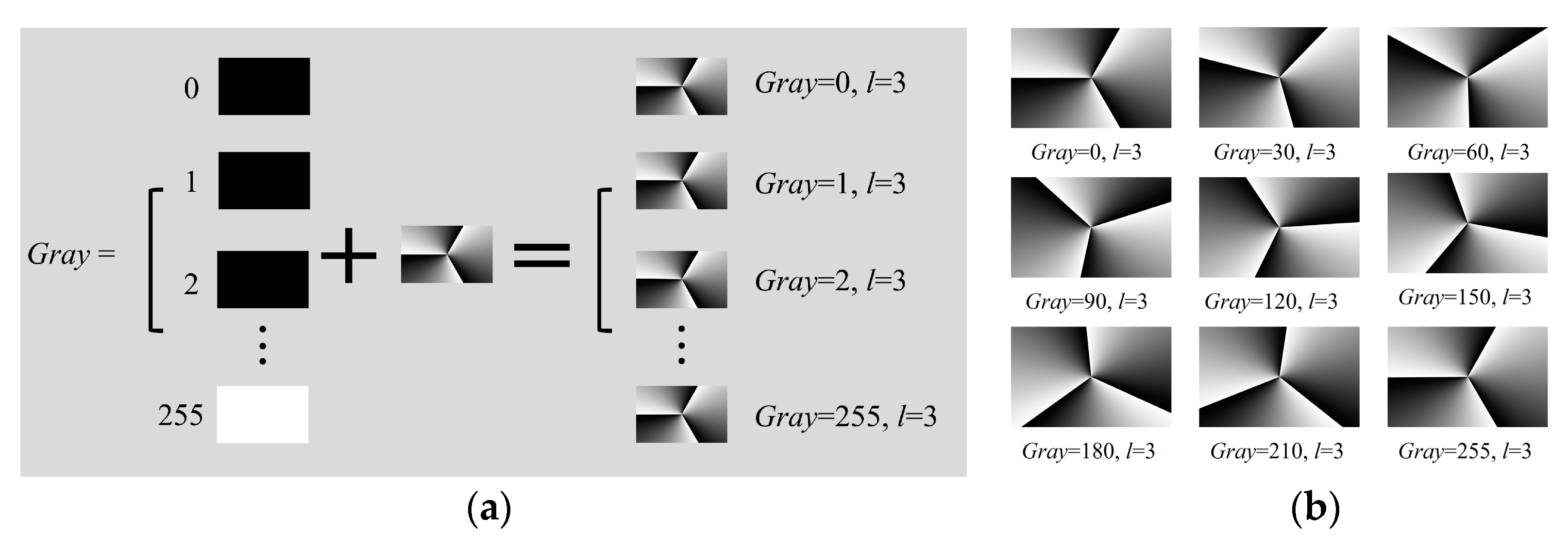Photonics 11 00557 g005