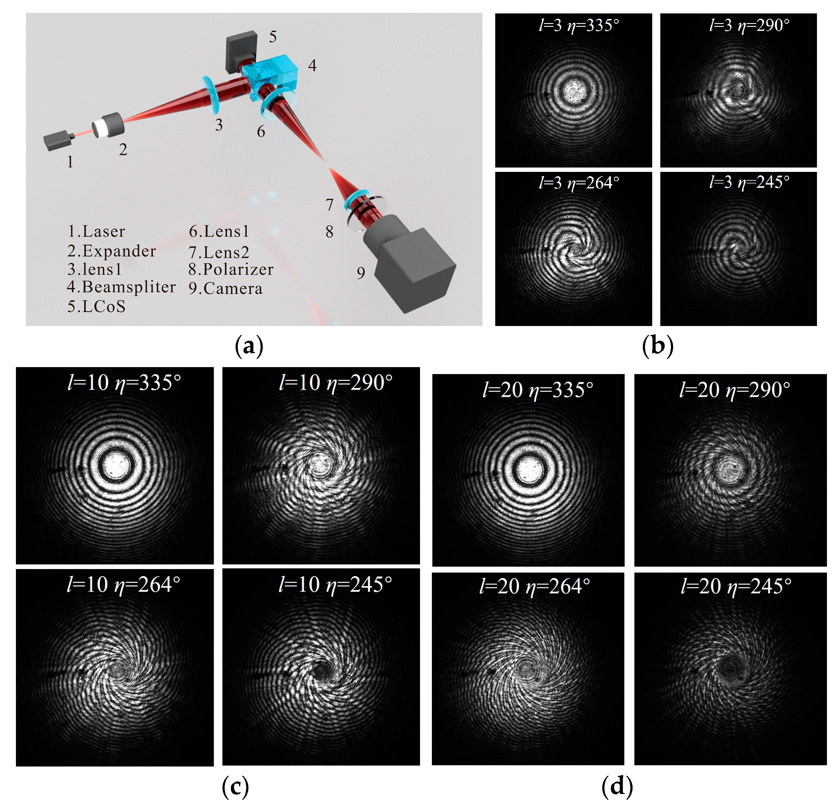 Photonics 11 00557 g006