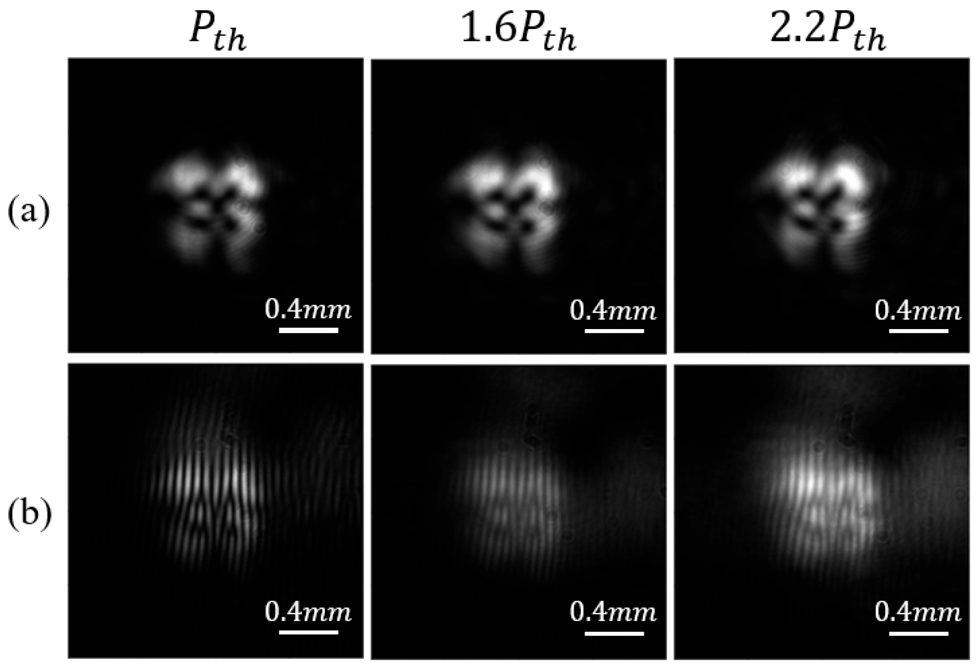 Photonics 11 00563 g008