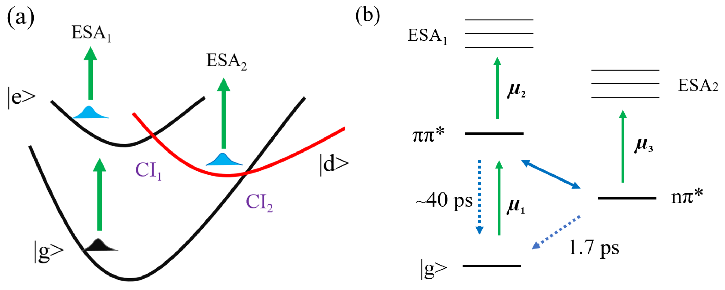 Photonics 11 00566 g002