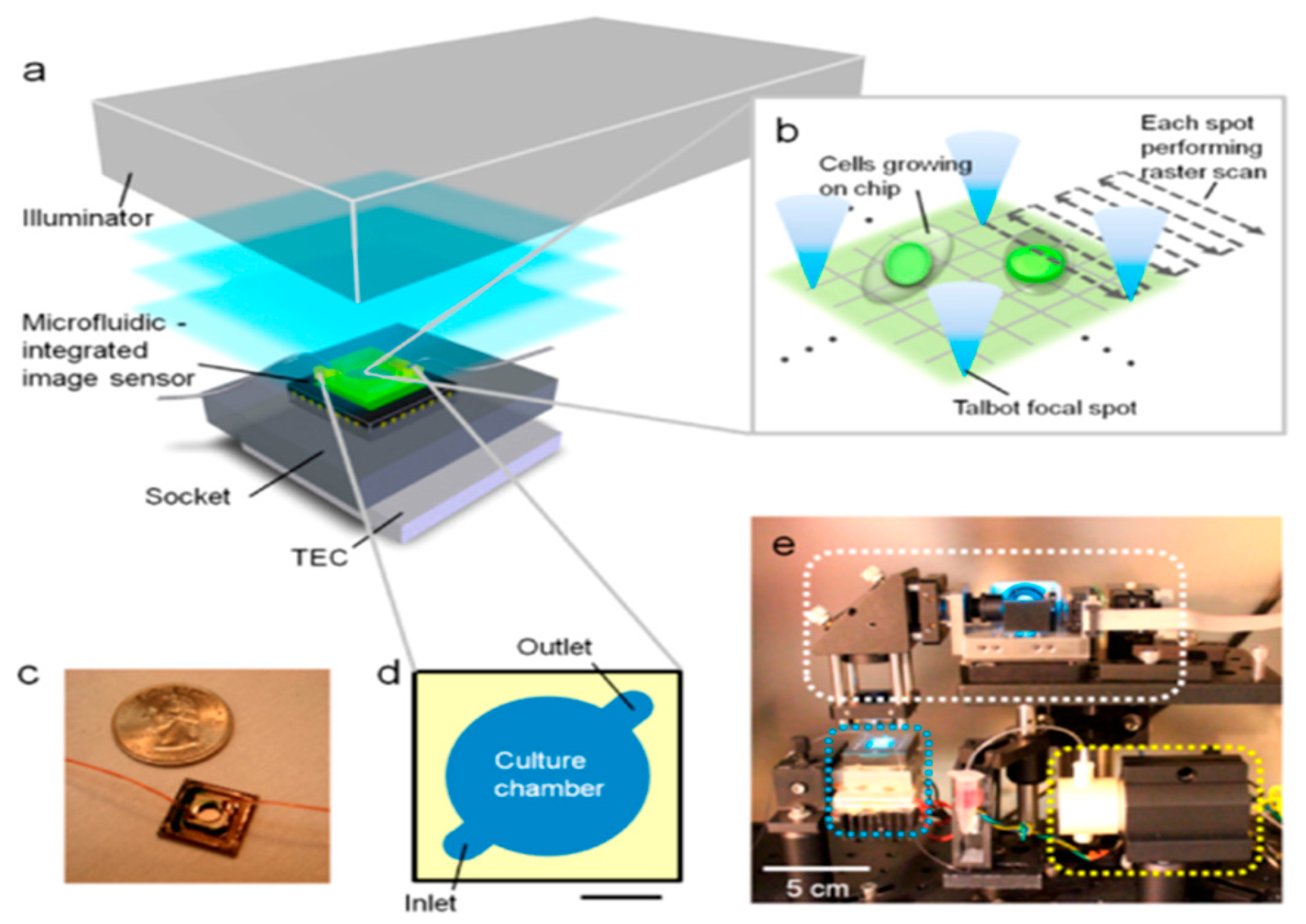 Photonics 11 00575 g001