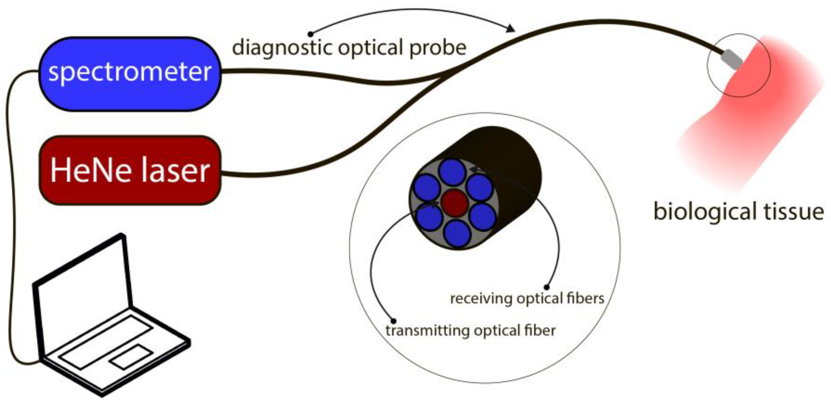 Photonics 11 00594 g004