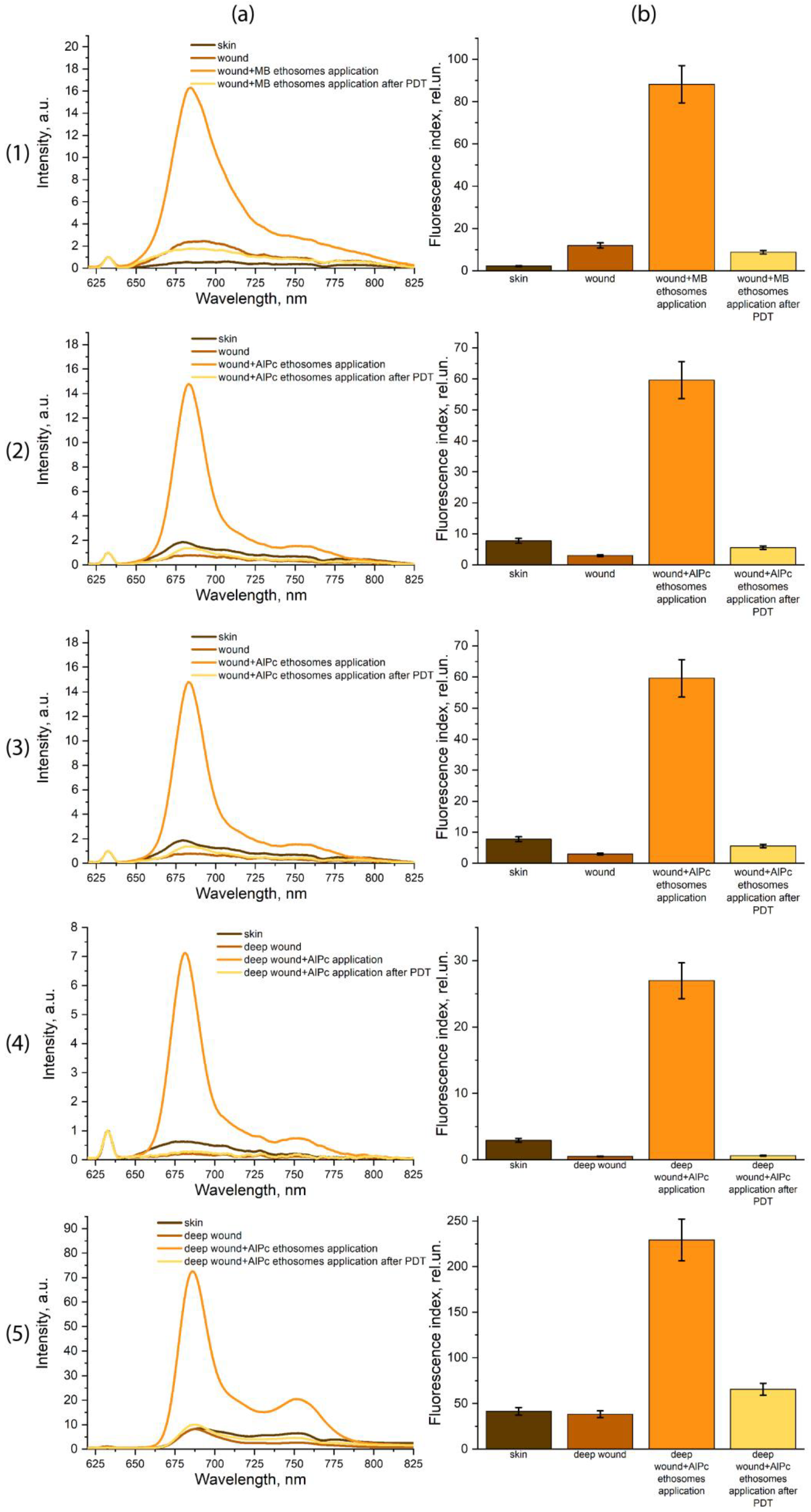 Photonics 11 00594 g005