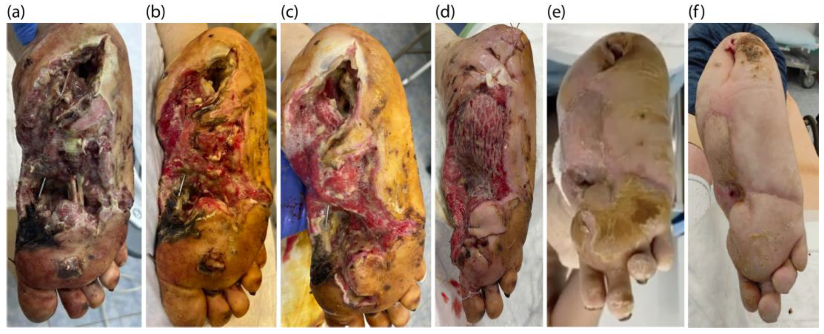 Photonics 11 00594 g008