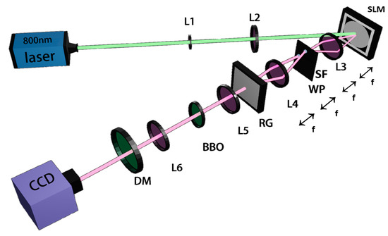Second Harmonic Generation of Twisted Vector Vortex Beams Using aβ ...