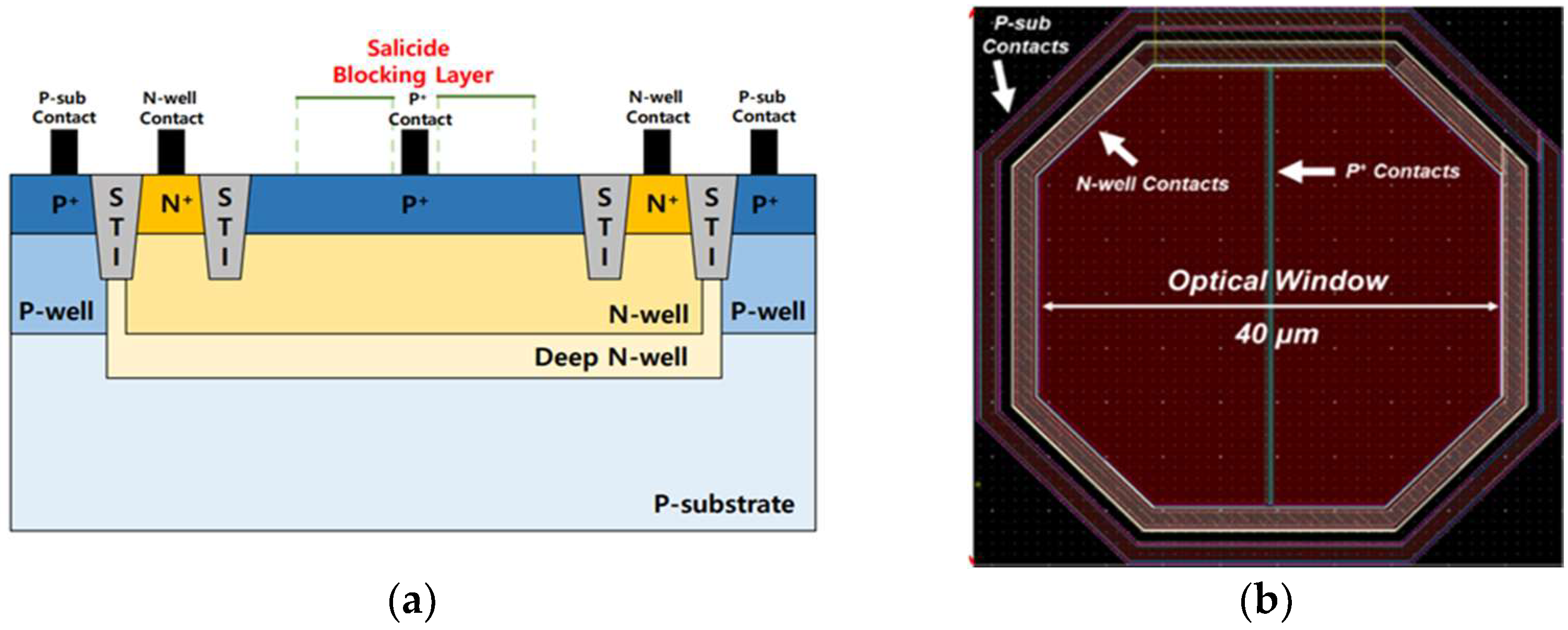 Photonics 11 00617 g004
