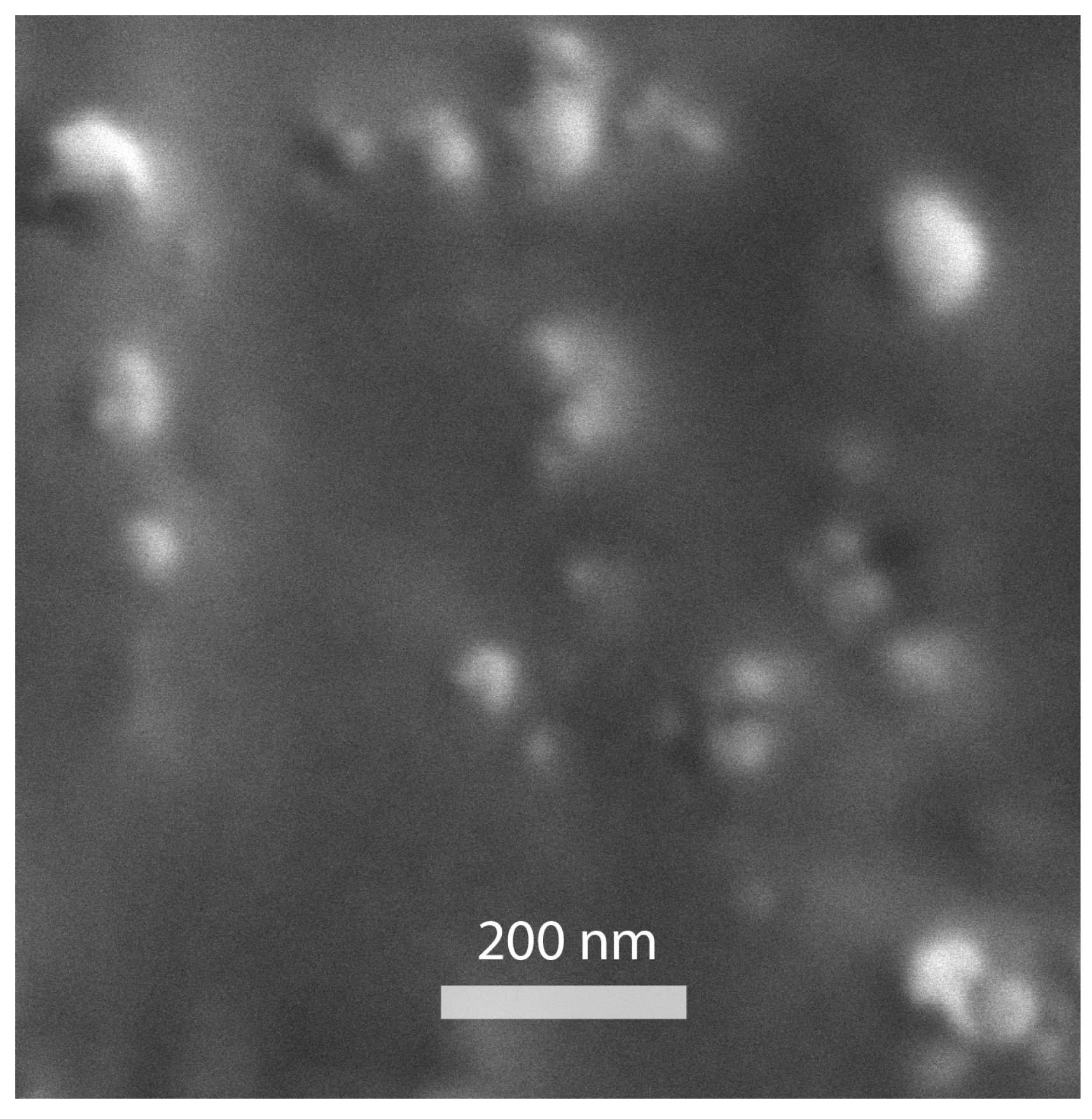Photonics 11 00642 g003