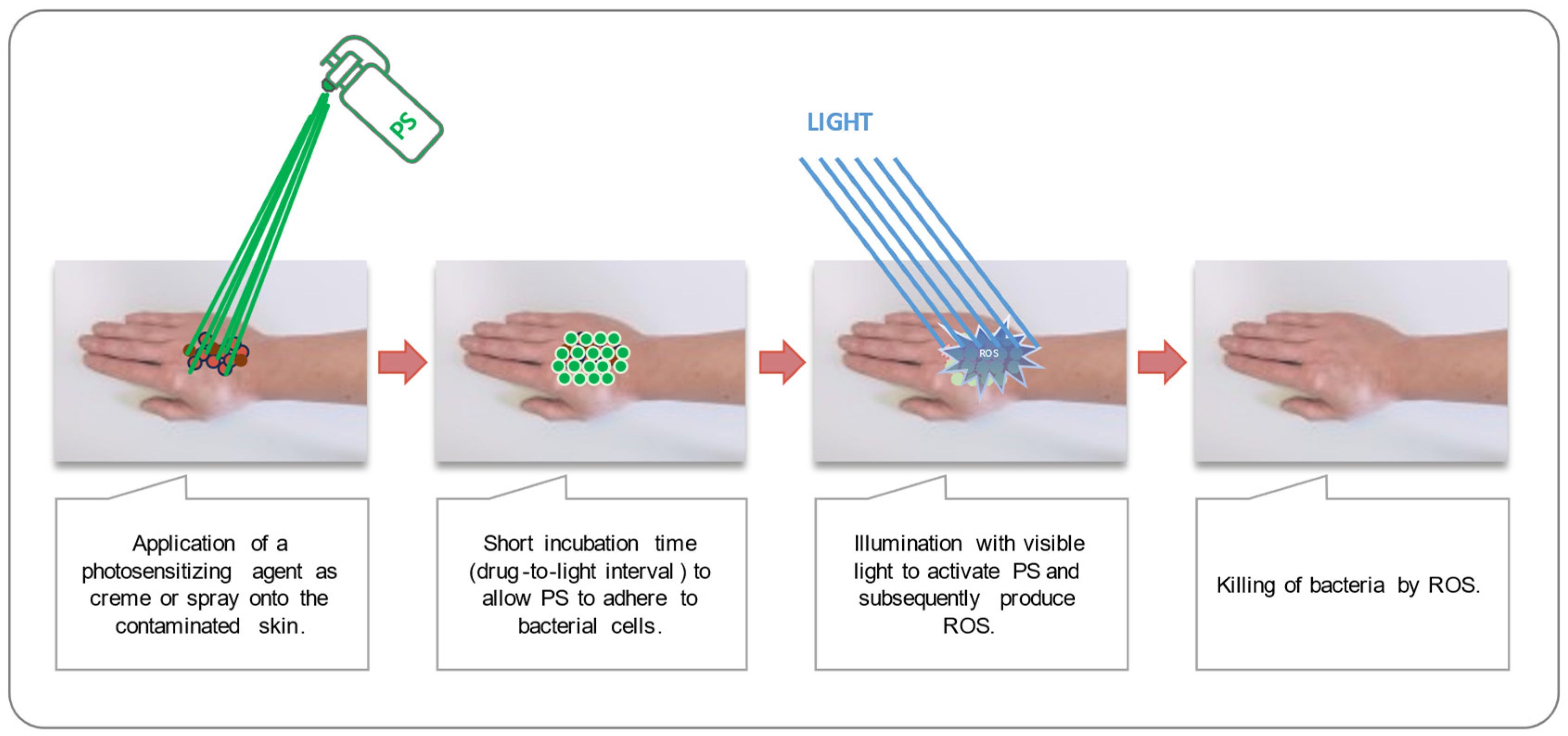 Photonics 11 00647 g001