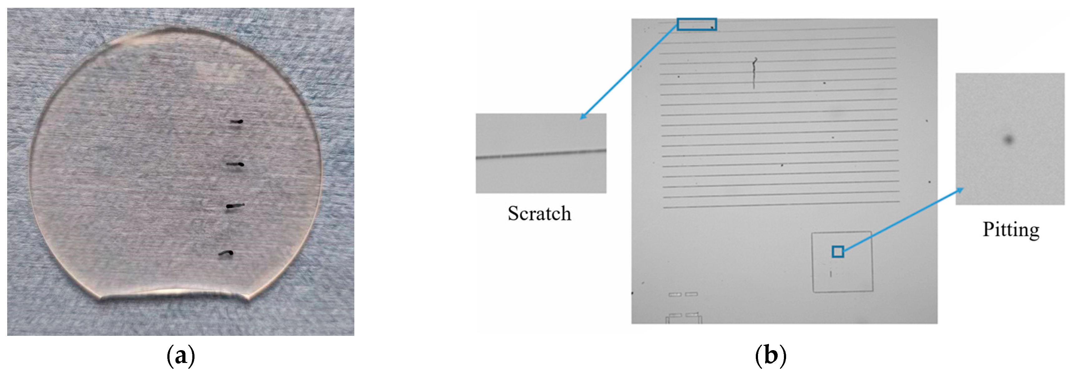 Photonics 11 00681 g008