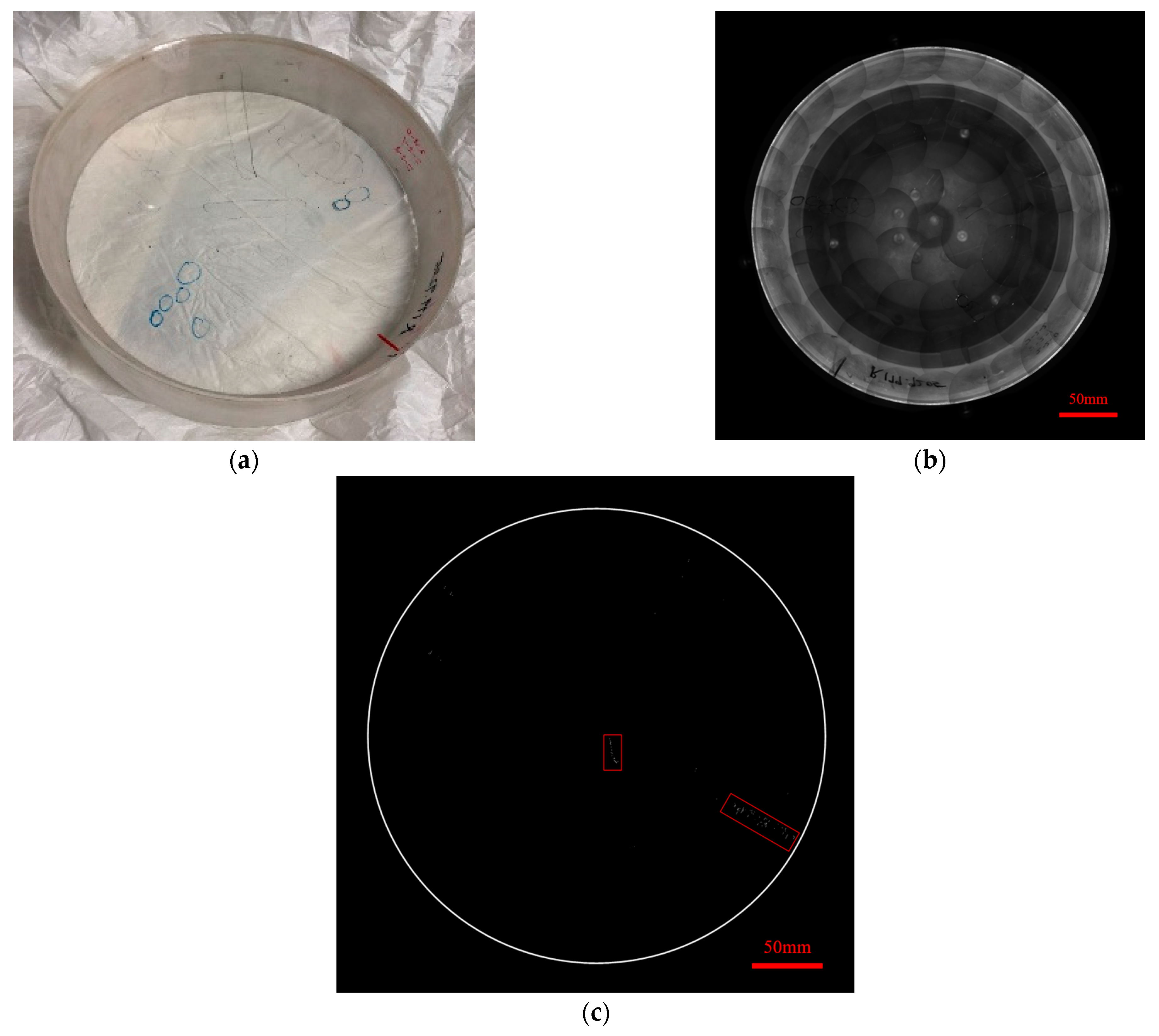 Photonics 11 00681 g011