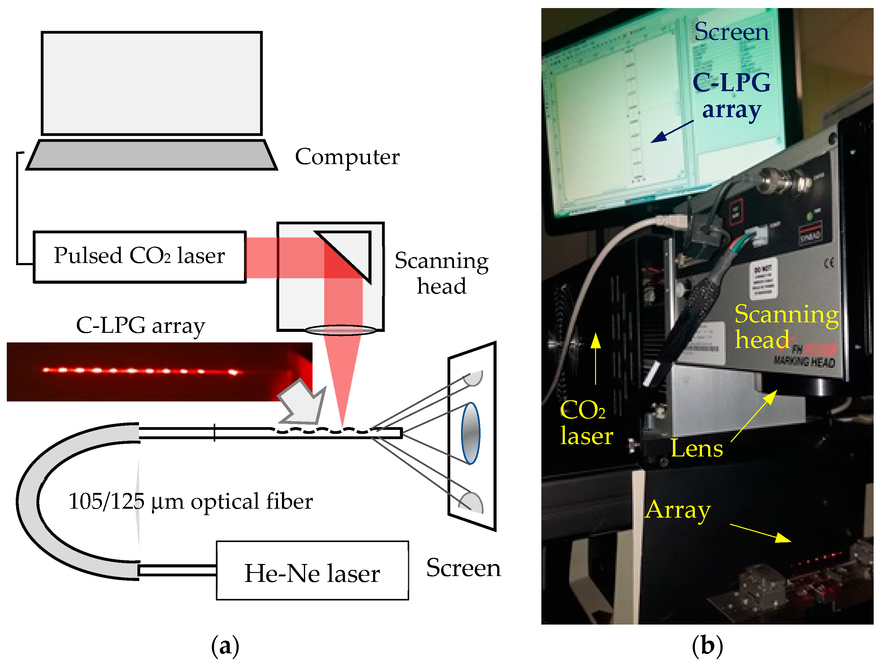 Photonics 11 00694 g006