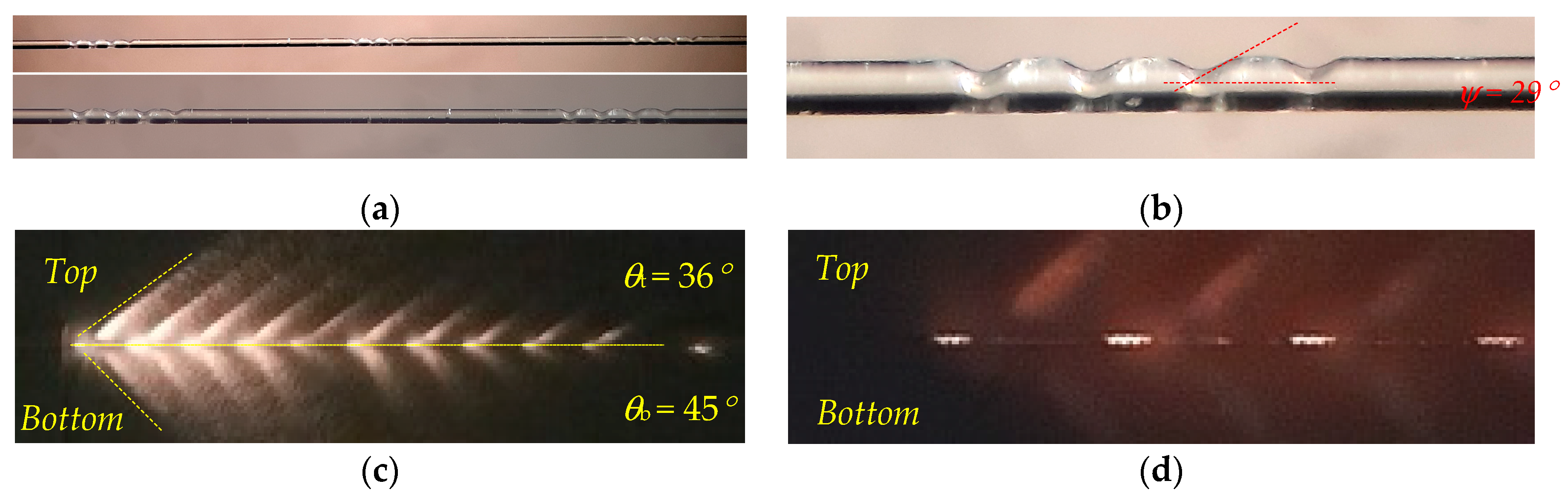 Photonics 11 00694 g008