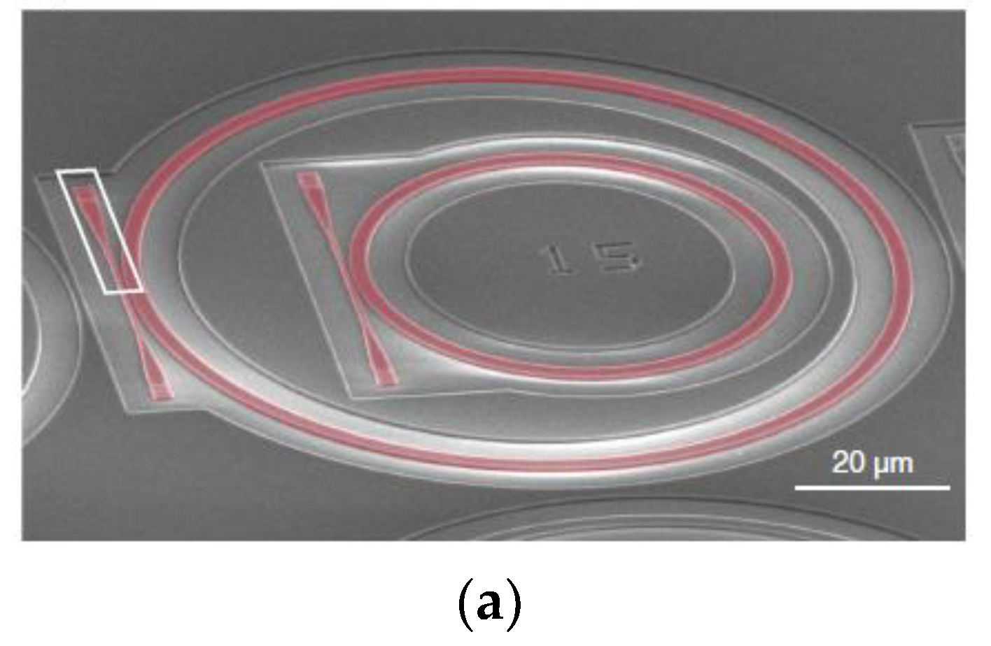 Photonics 11 00701 g012a