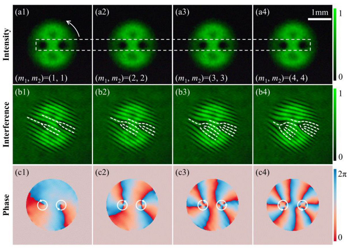 Photonics 11 00709 g003