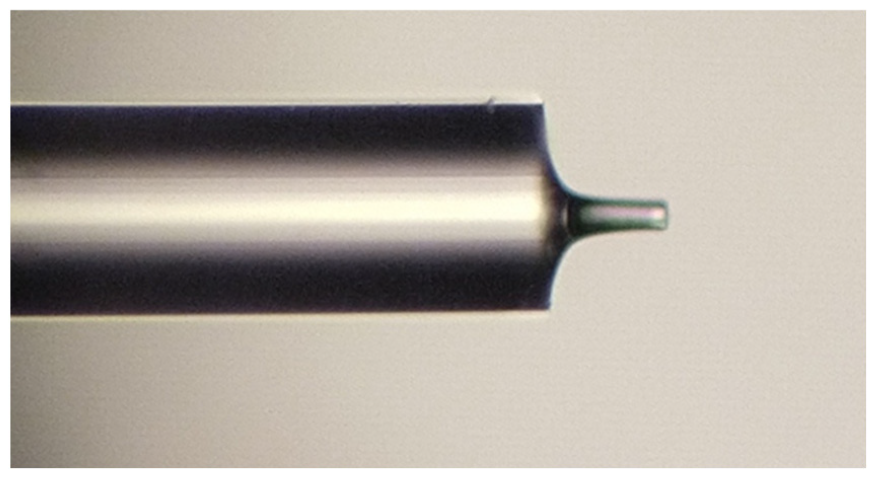 Photonics 11 00712 g003