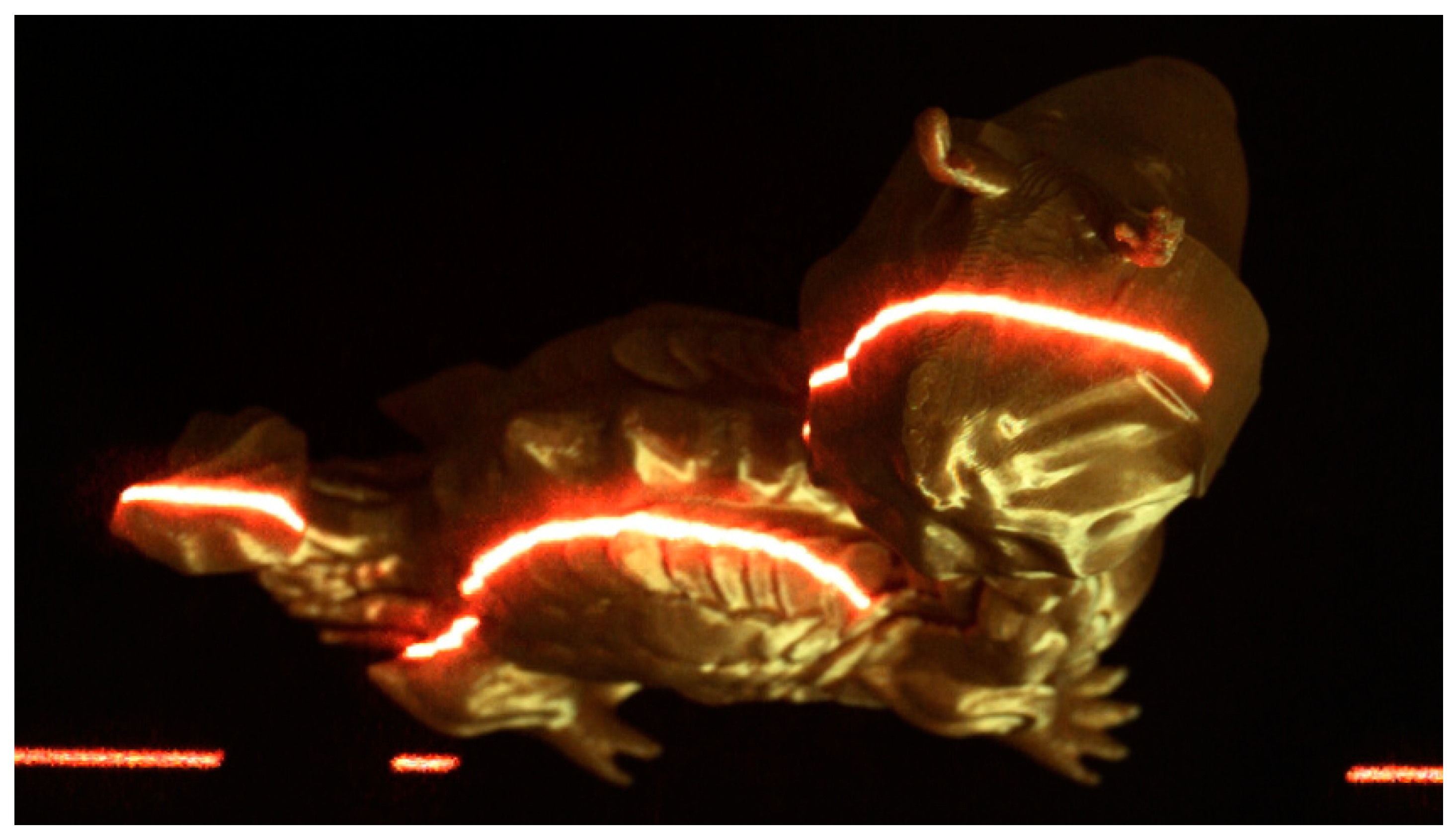 Photonics 11 00723 g008