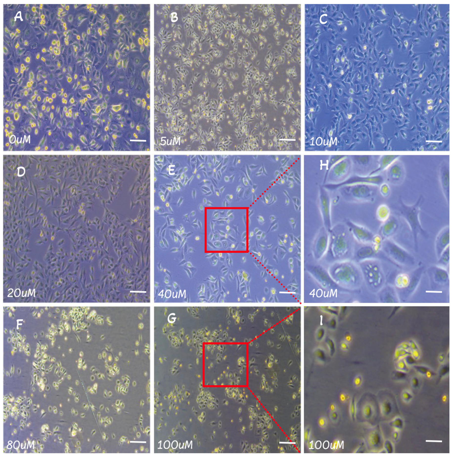 Photonics 11 00735 g005