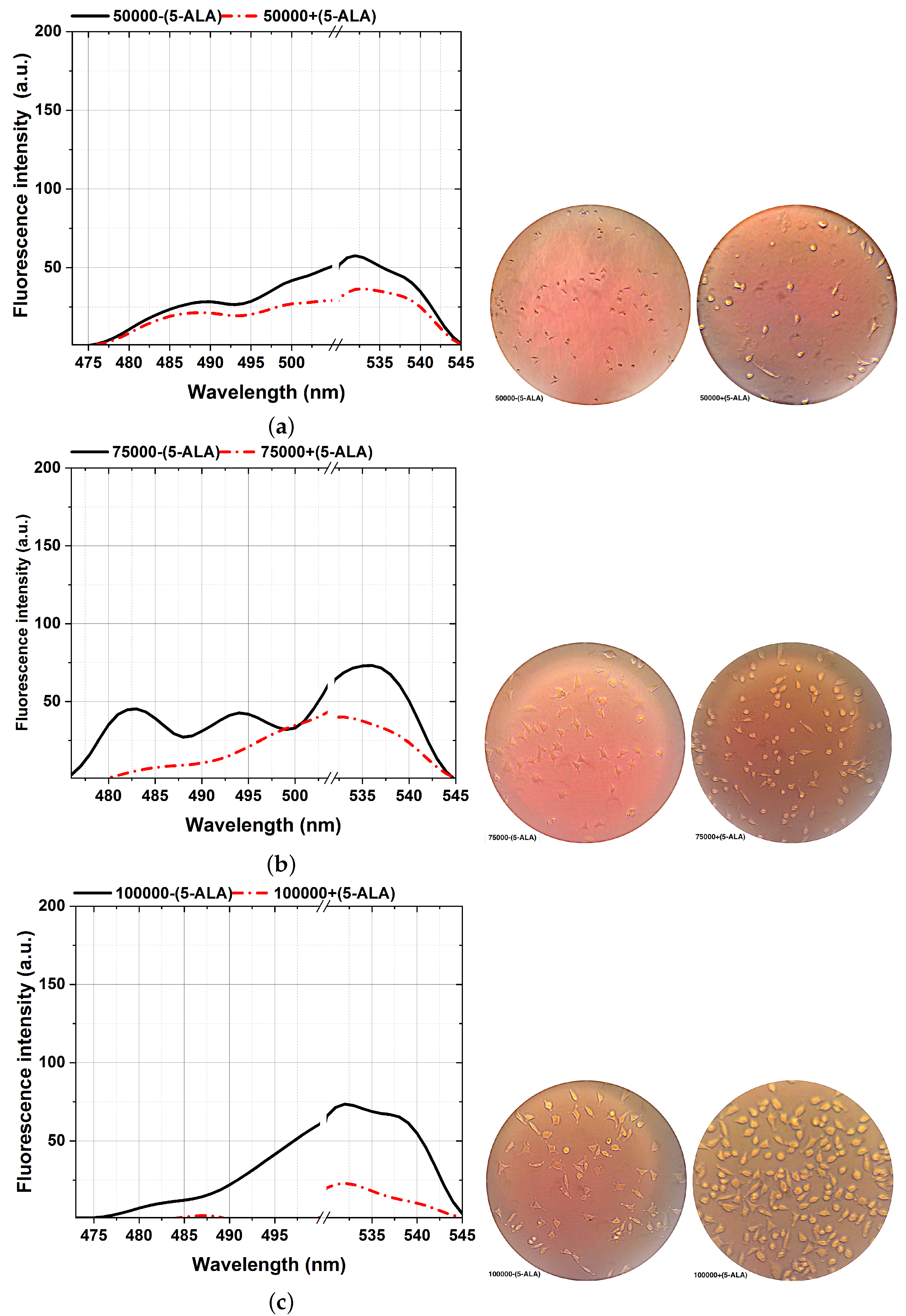 Photonics 11 00746 g006a