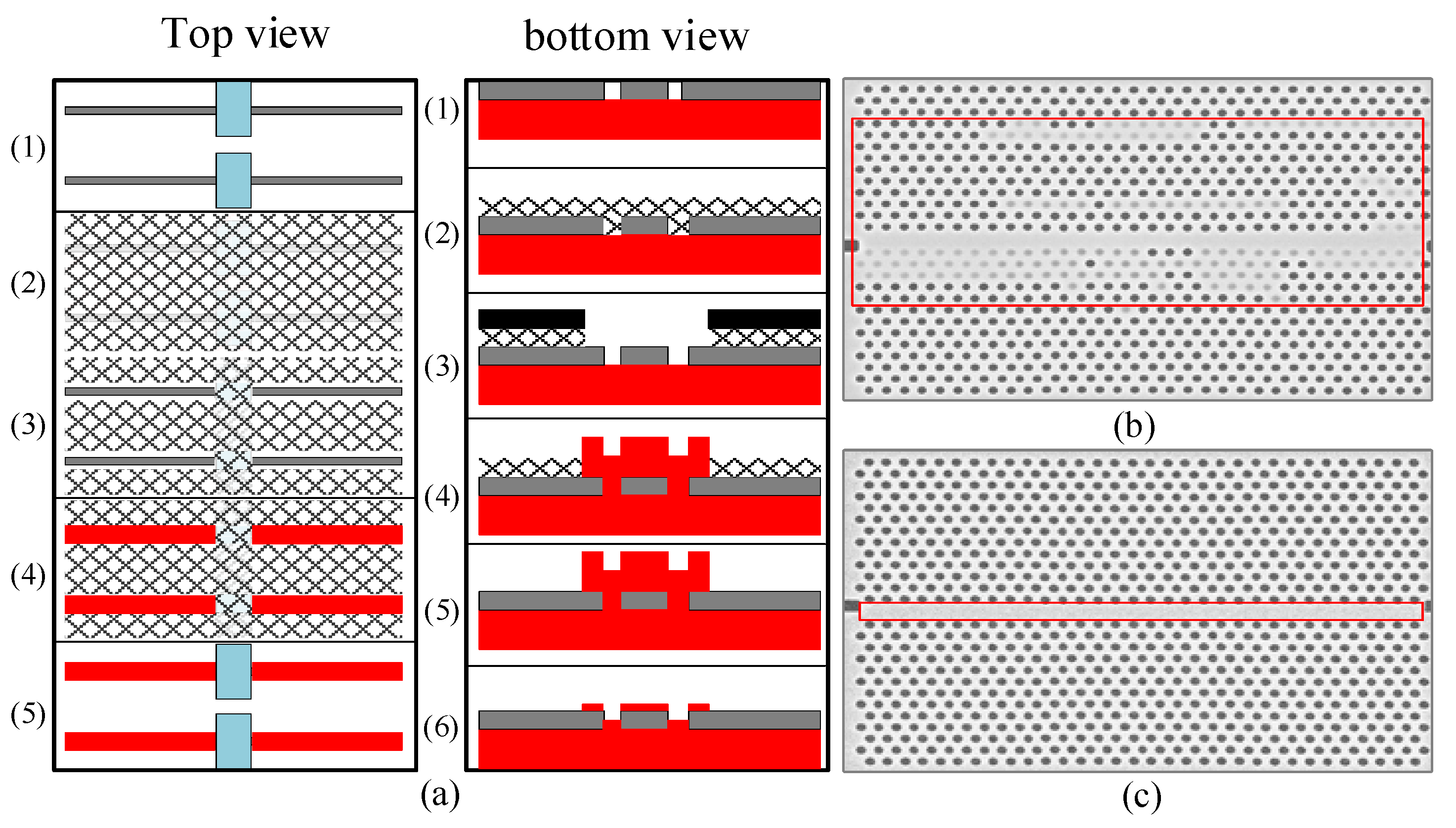 Photonics 11 00753 g007