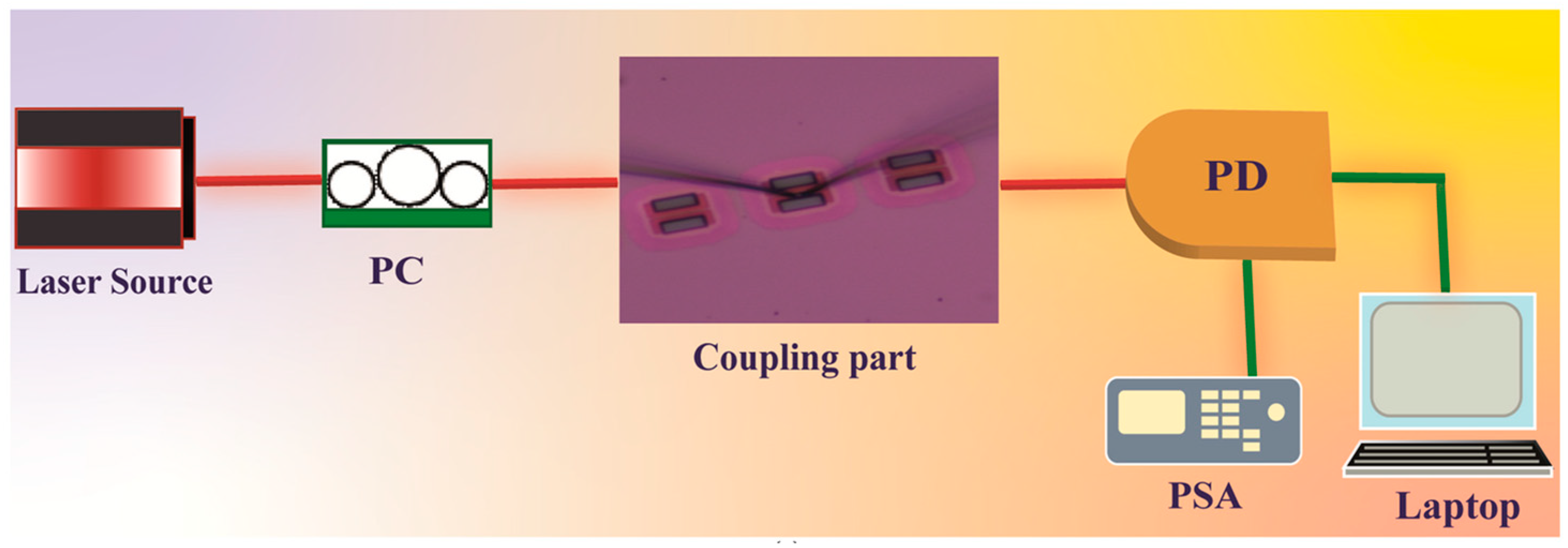Photonics 11 00753 g008