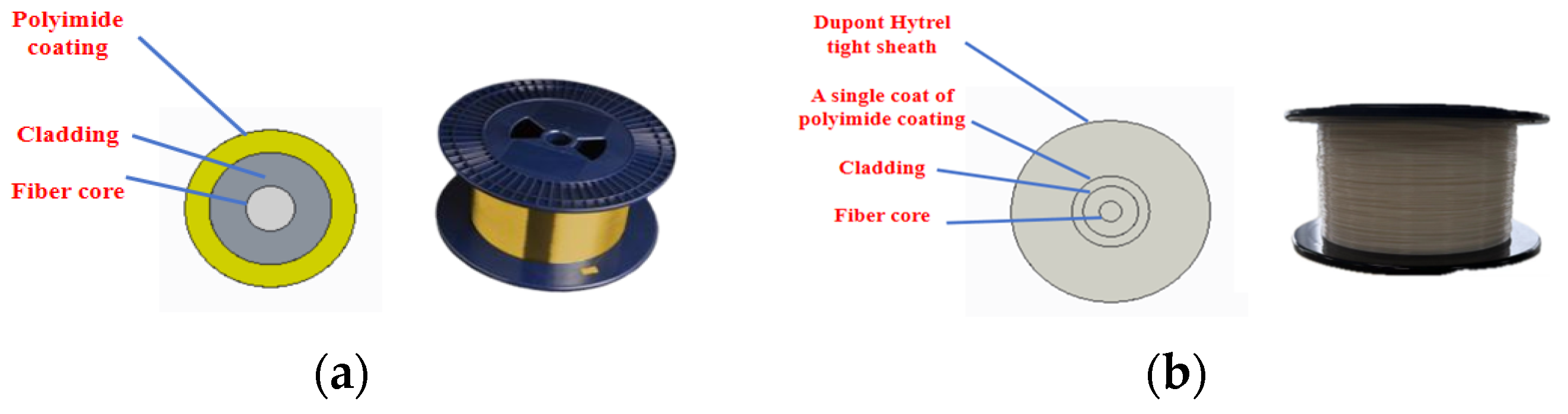 Photonics 11 00755 g006
