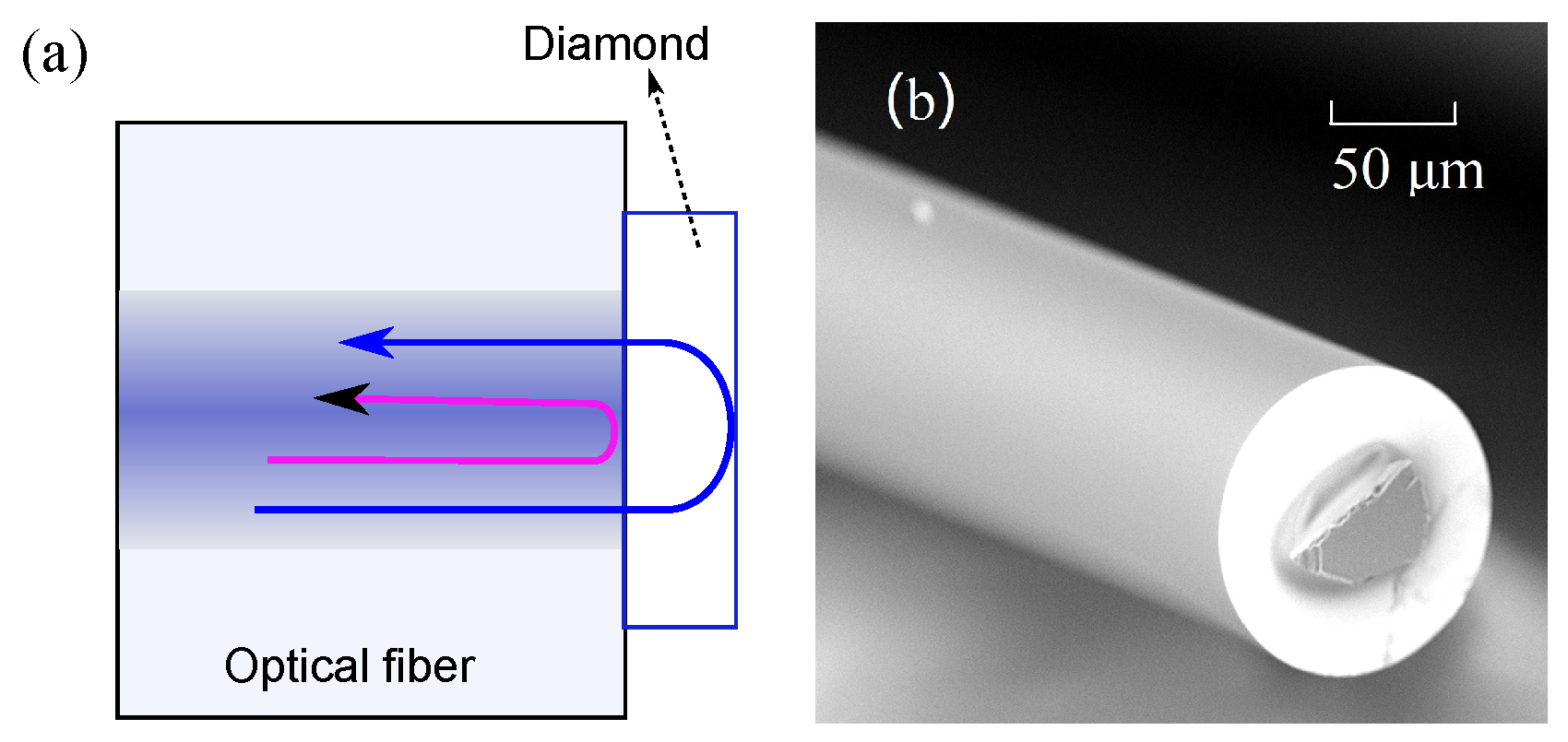 Photonics 11 00763 g001