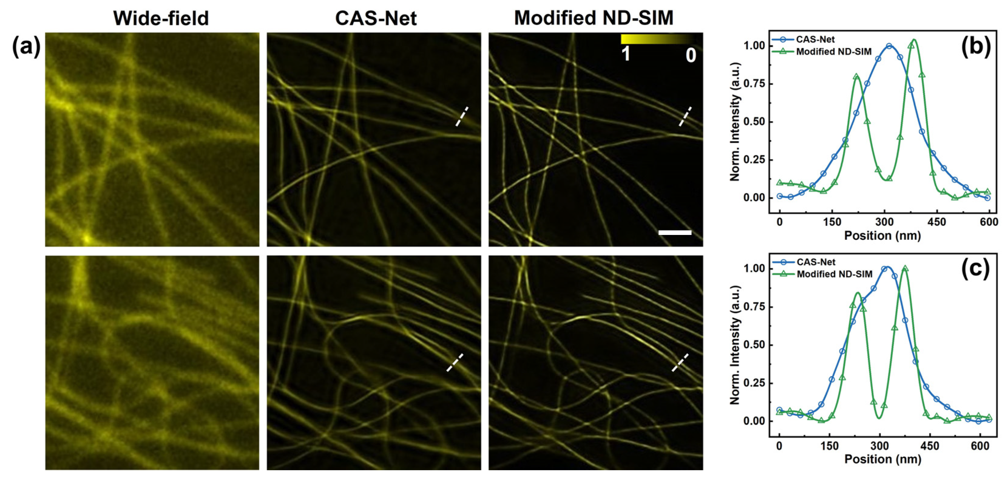 Photonics 11 00776 g005