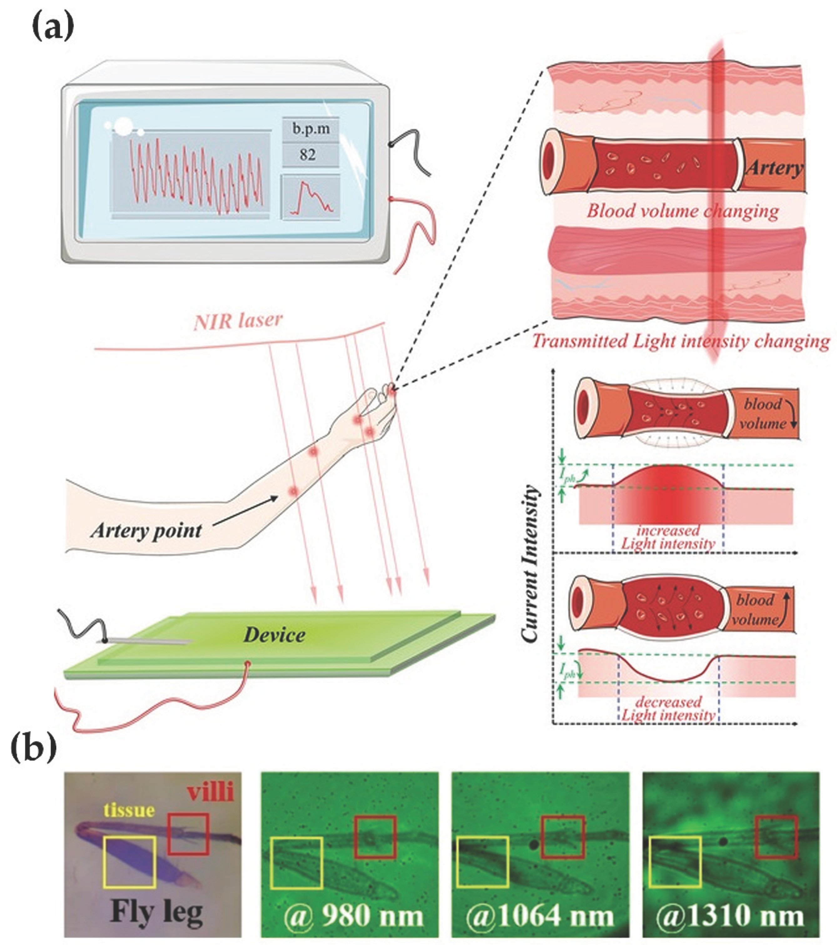 Photonics 11 00808 g008 Photonics 11 00808 g008