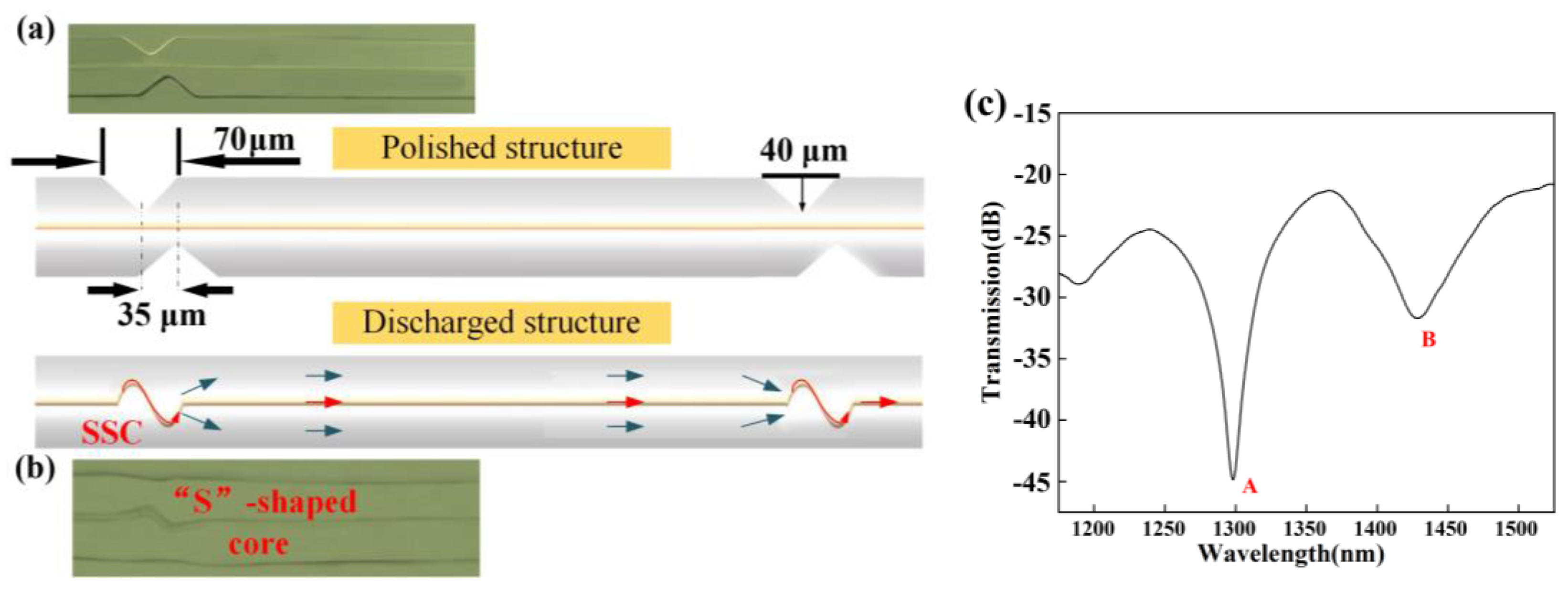 Photonics 11 00816 g005