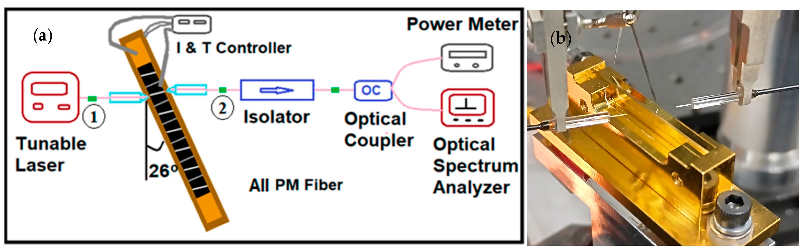 Photonics 11 00826 g002