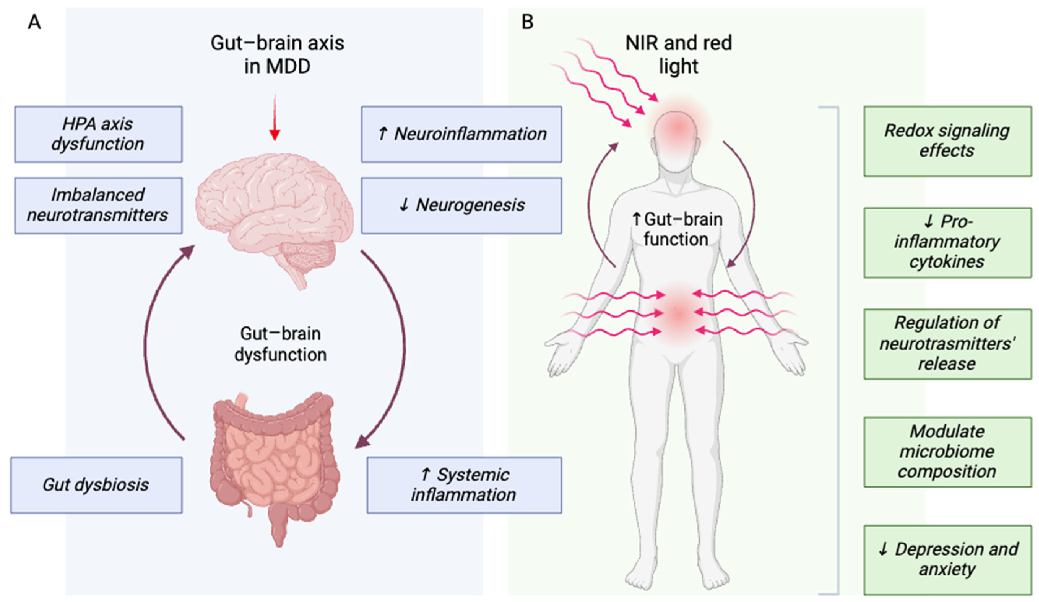 Photonics 11 00839 g001 Photonics 11 00839 g001