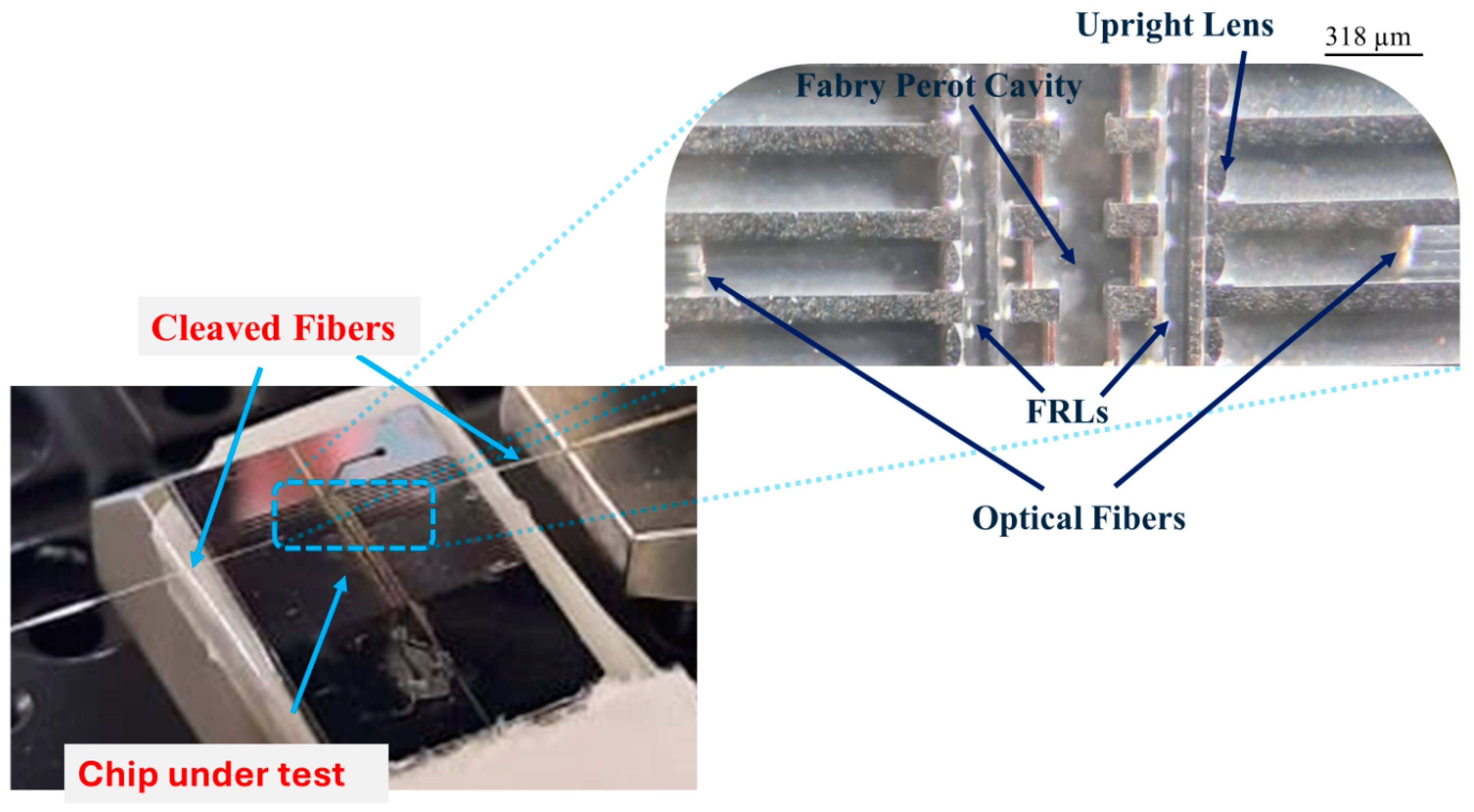 Photonics 11 00852 g005