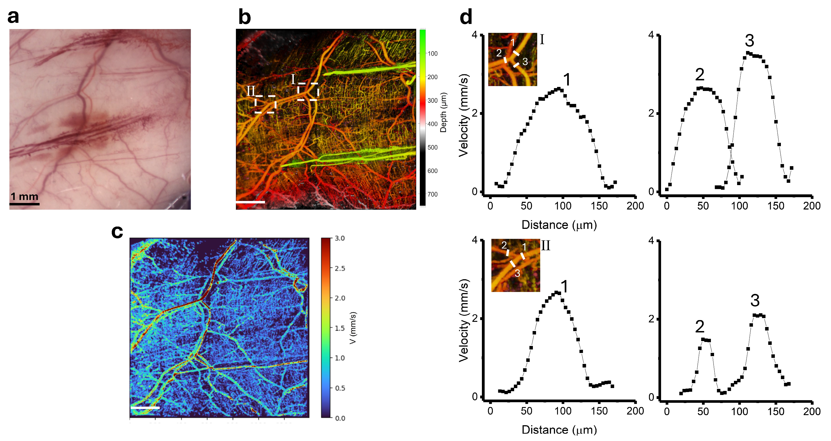 Photonics 11 00891 g004