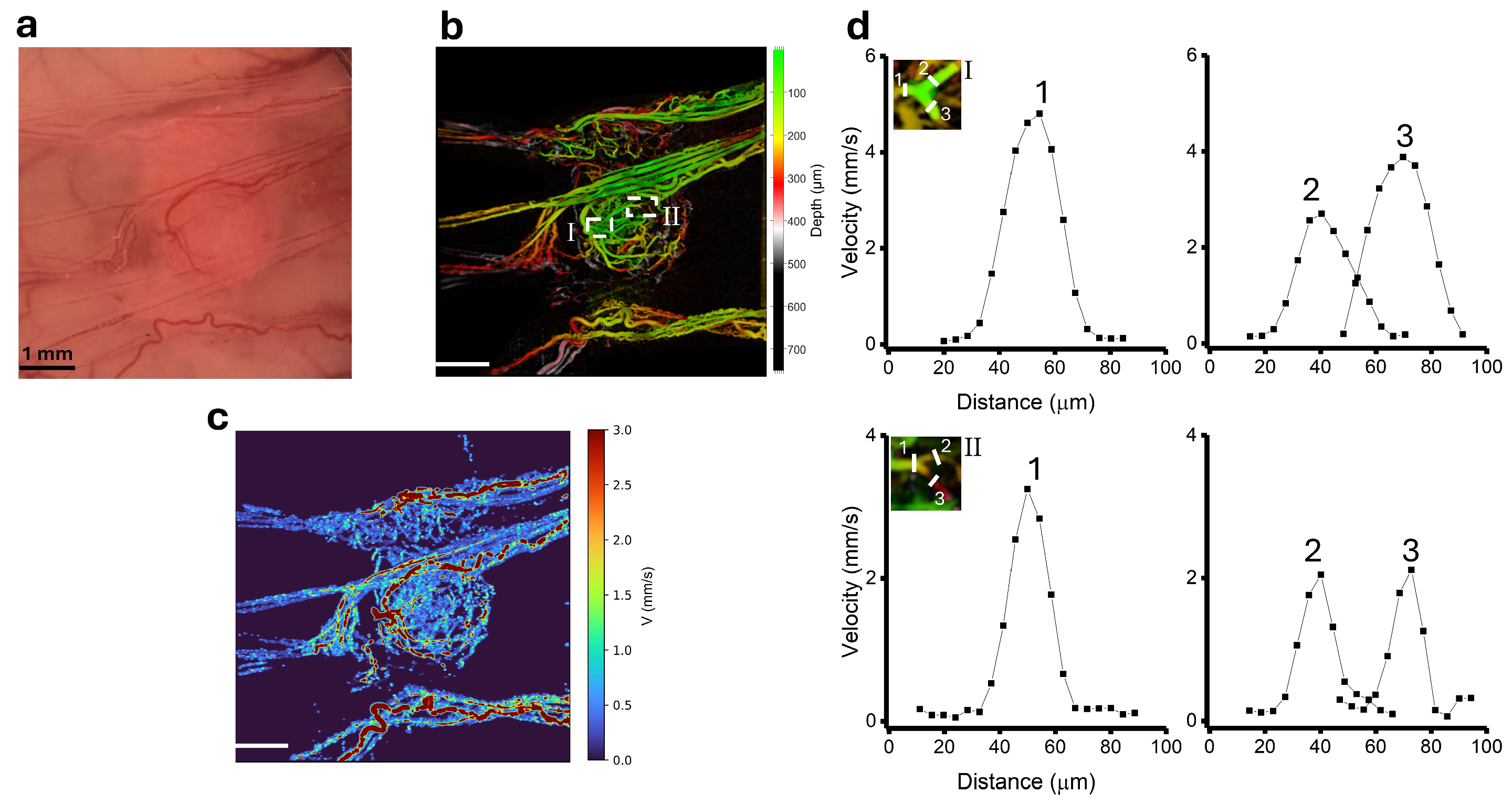 Photonics 11 00891 g005