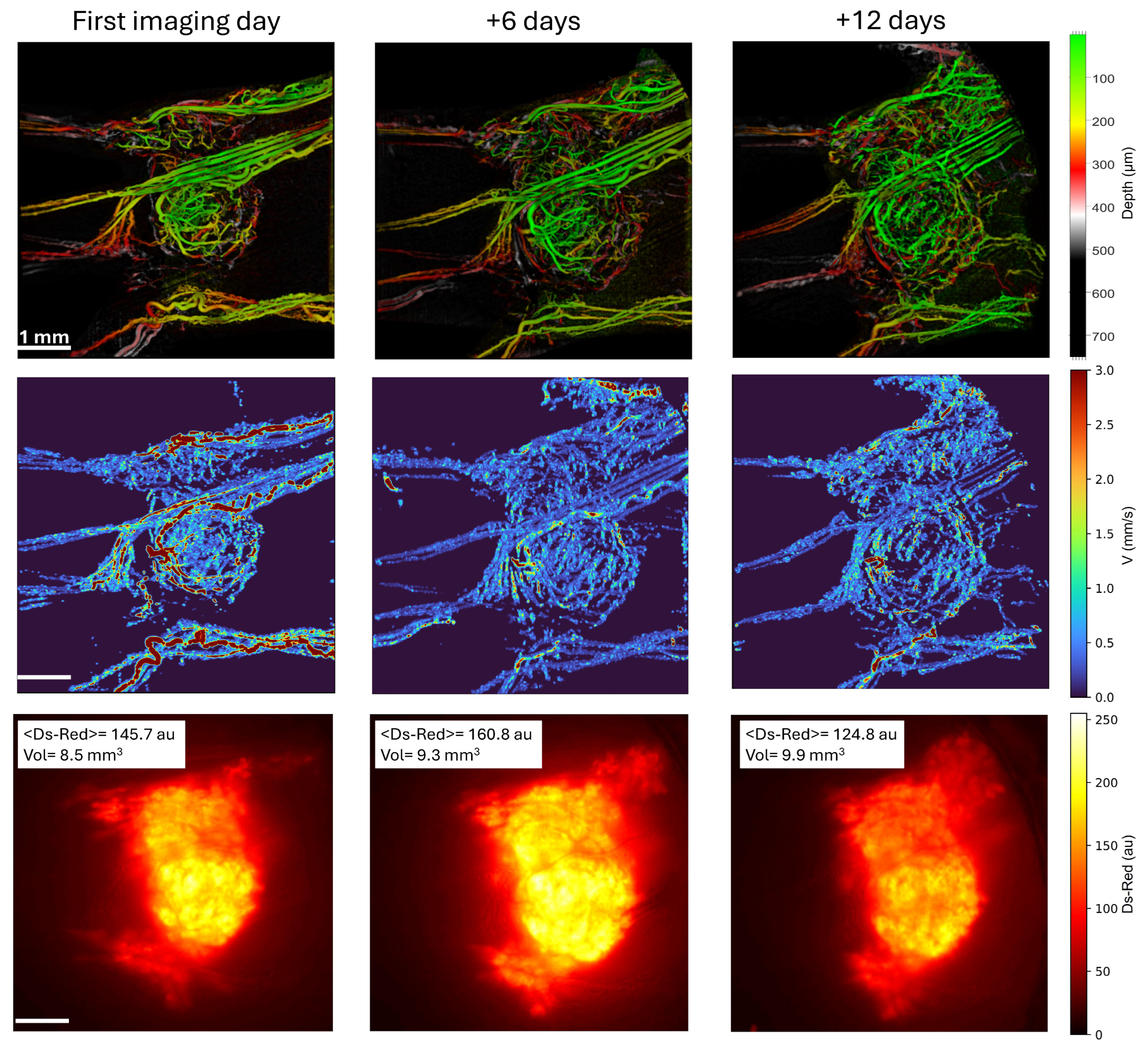 Photonics 11 00891 g006