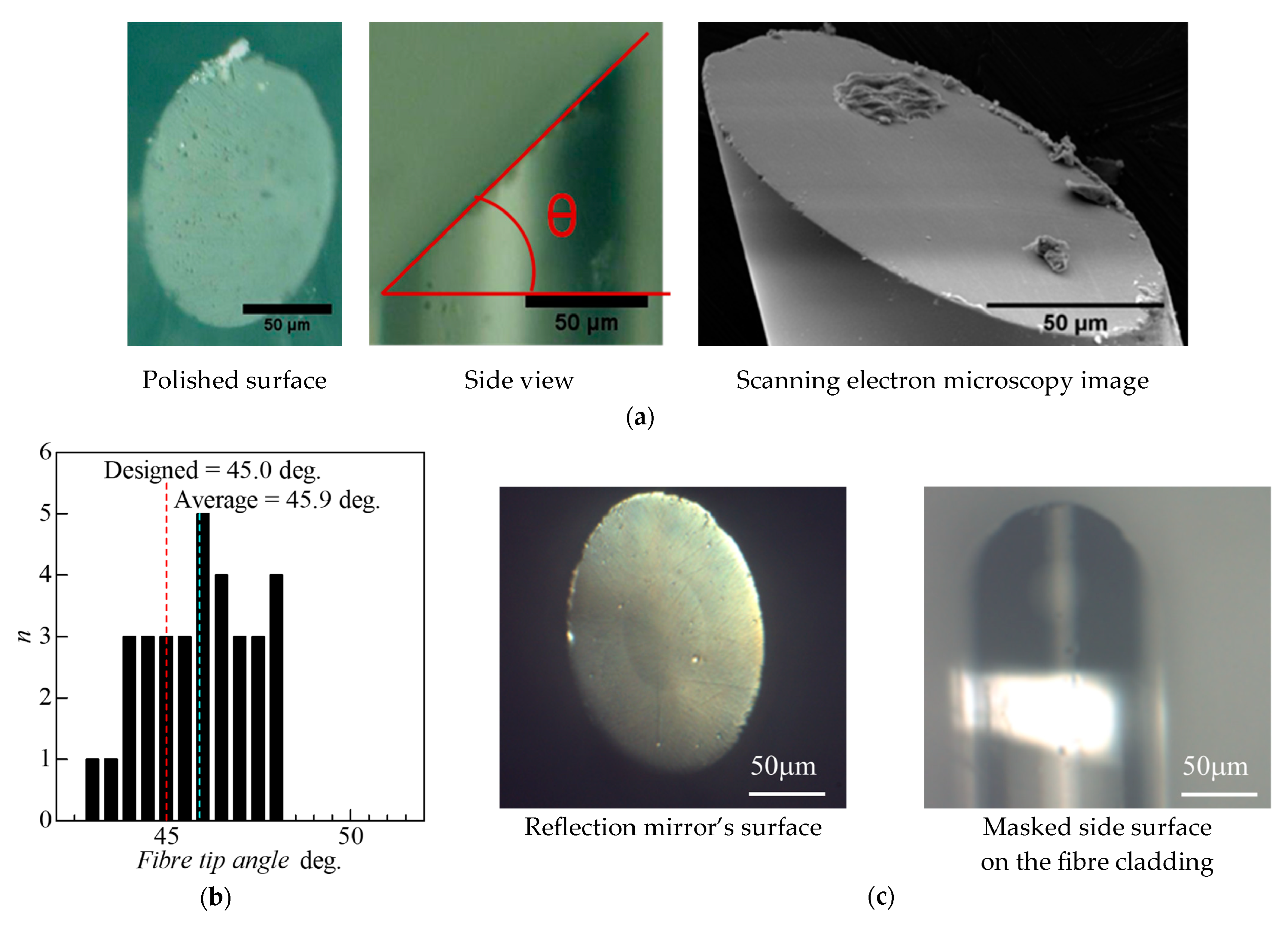 Photonics 11 00892 g003a