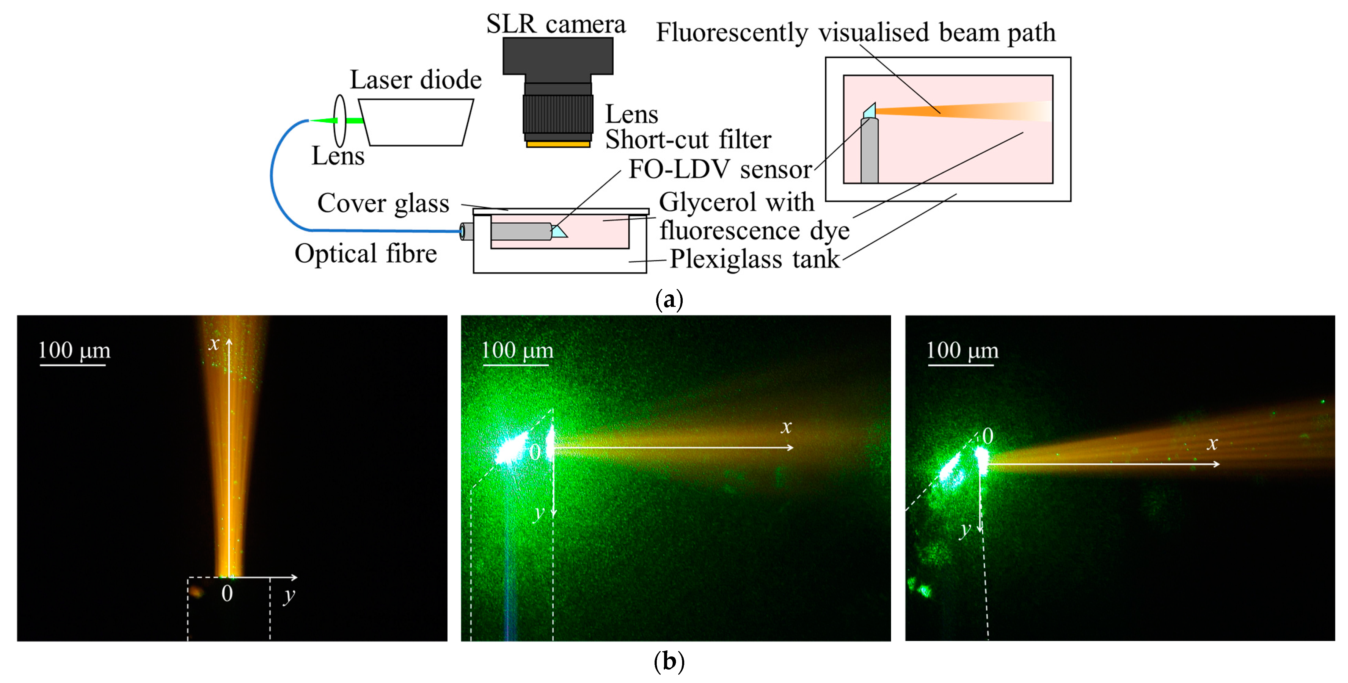Photonics 11 00892 g006a