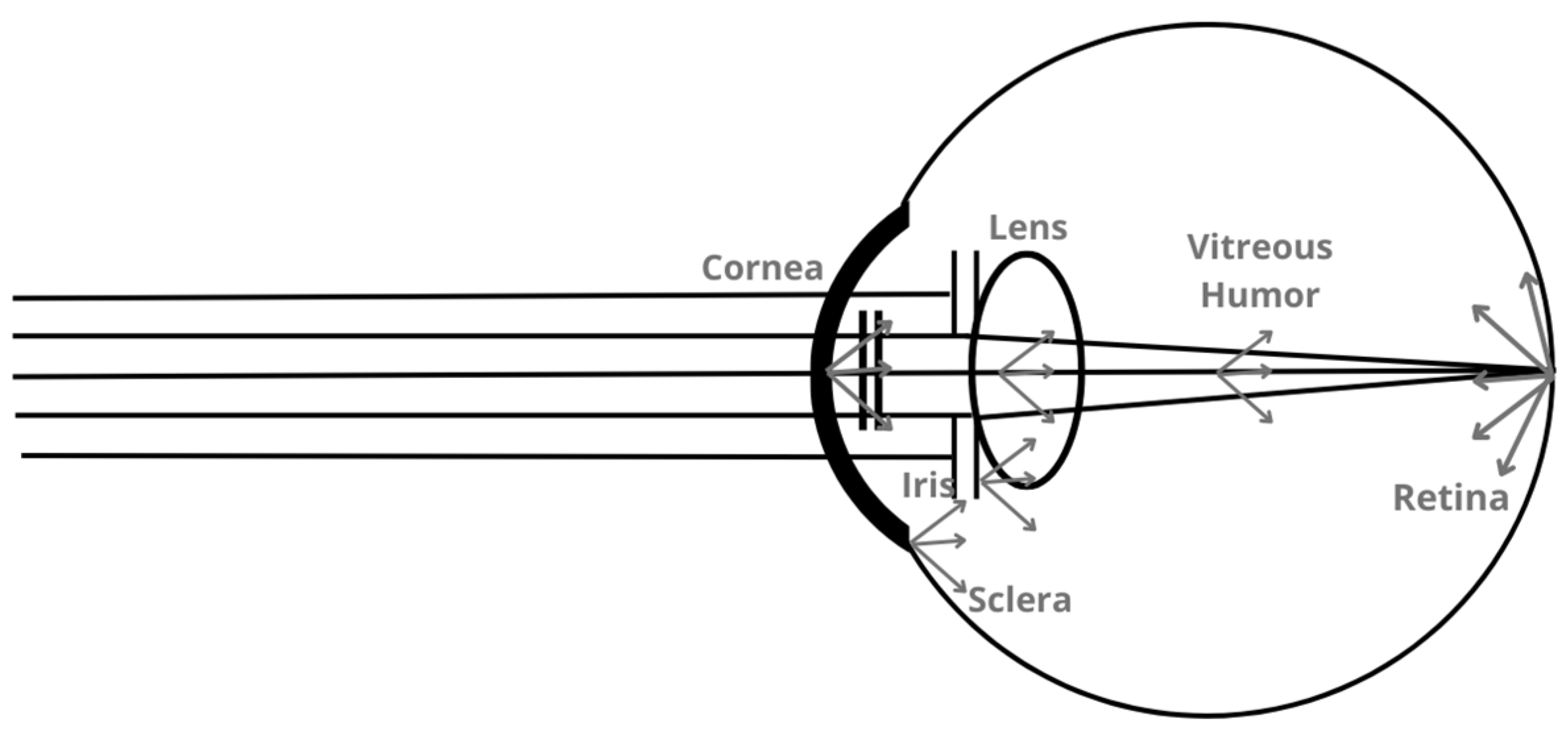 Photonics 11 00905 g002