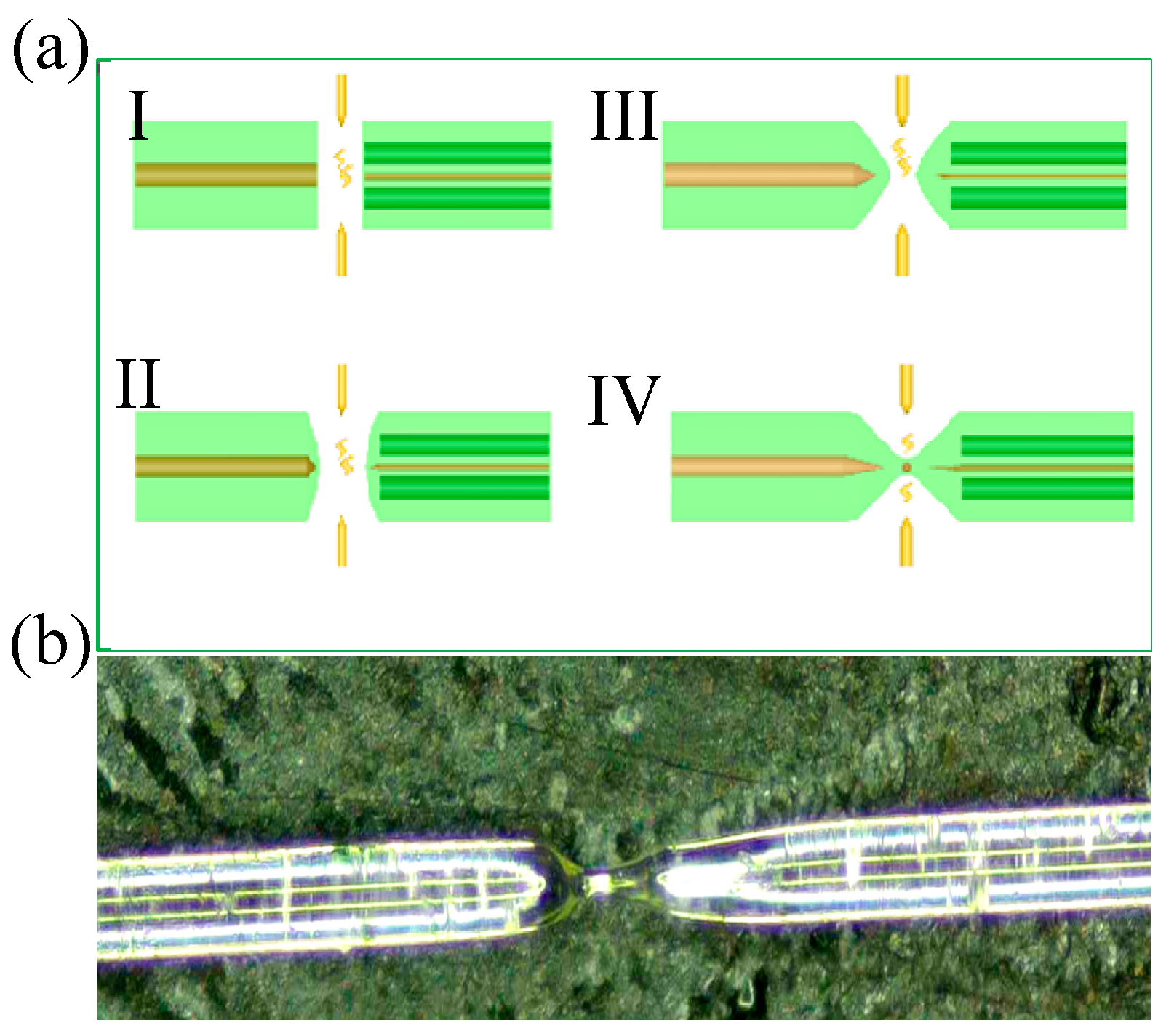 Photonics 11 00911 g003