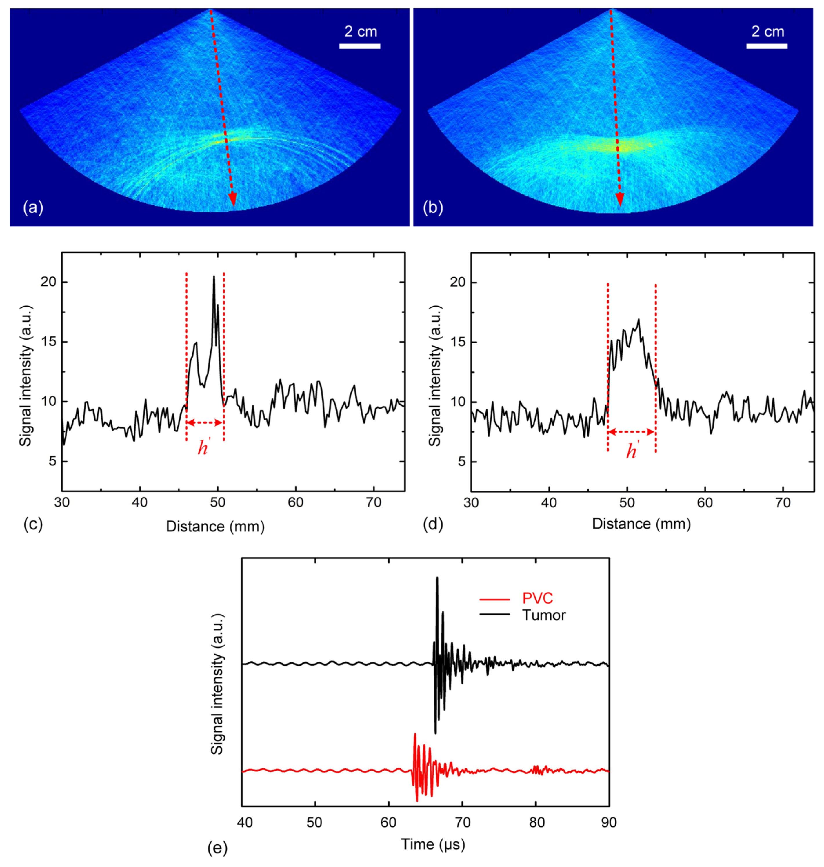 Photonics 11 00916 g005