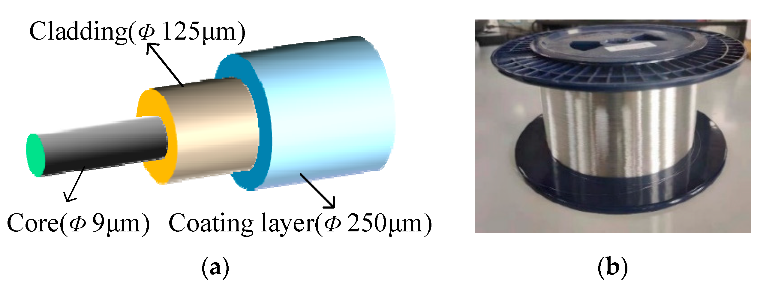 Photonics 11 00919 g002