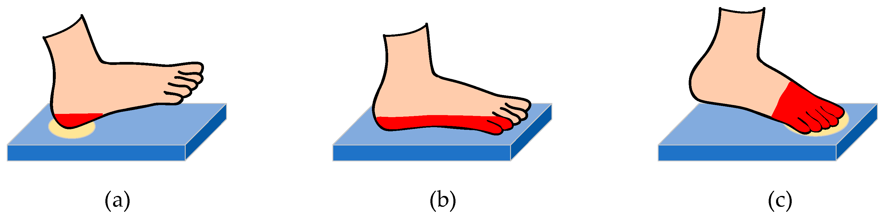 Photonics 11 00919 g014