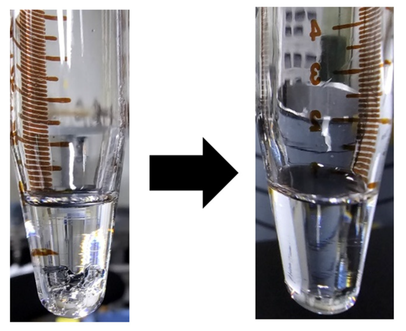 Photonics 11 00936 g005