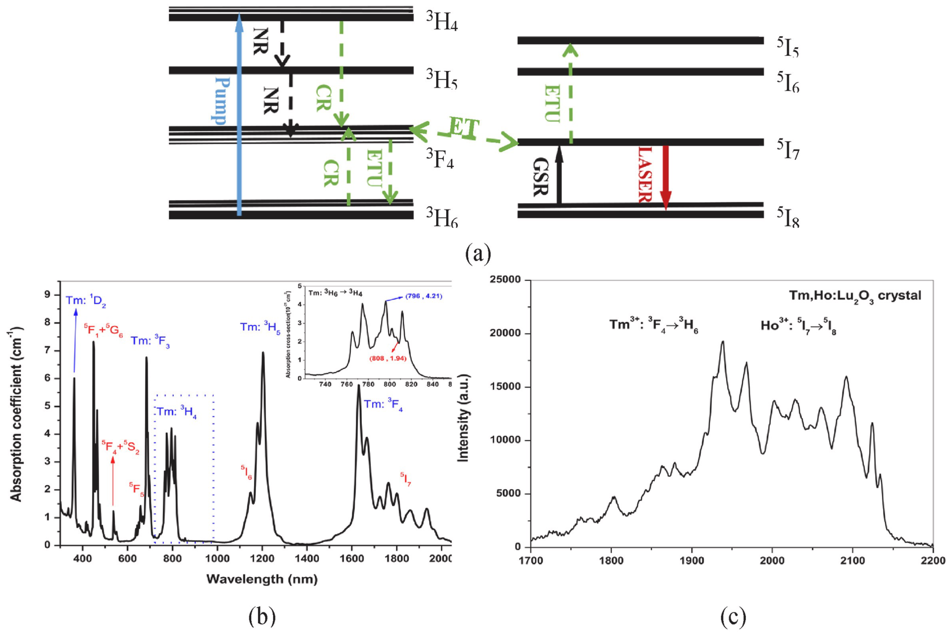 Photonics 11 00942 g008